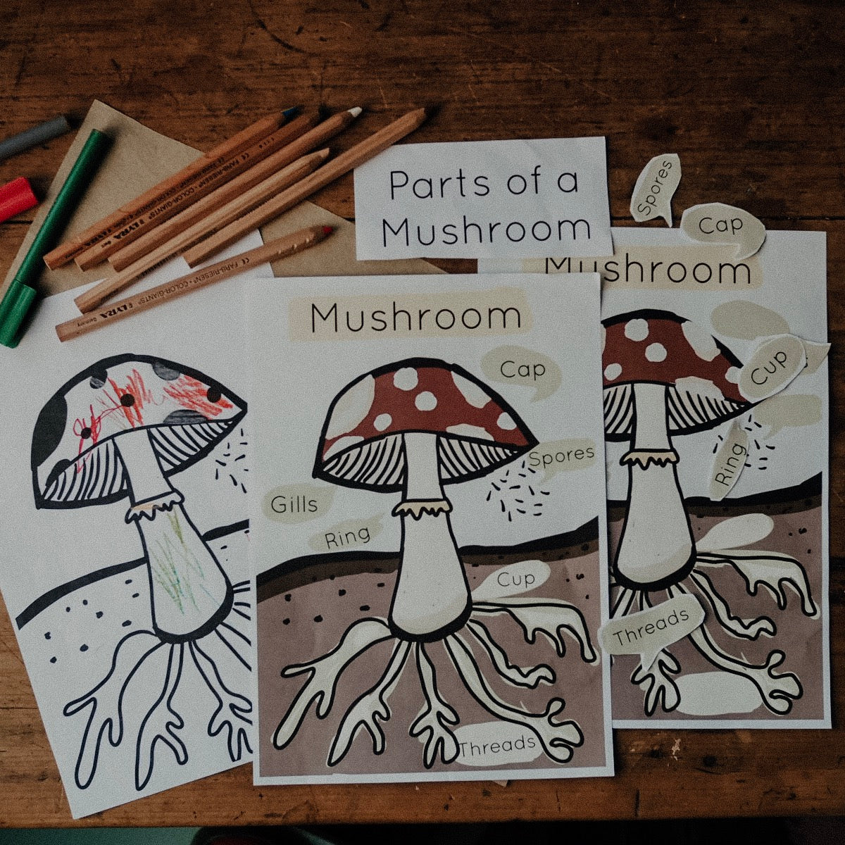 FREE PRINTABLE - Mushroom Nature Study
