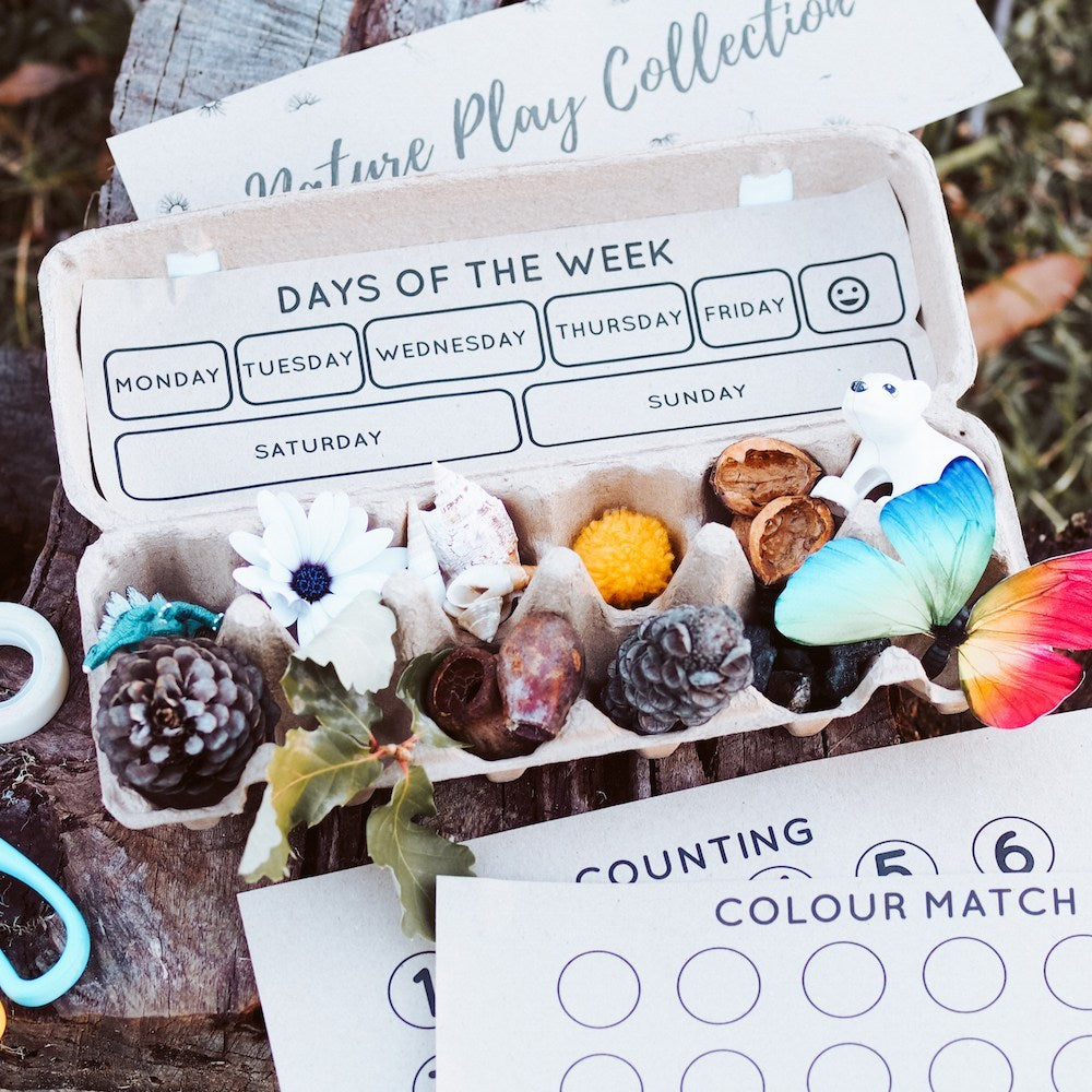 Nature Play Collection Egg Carton – Free Printable