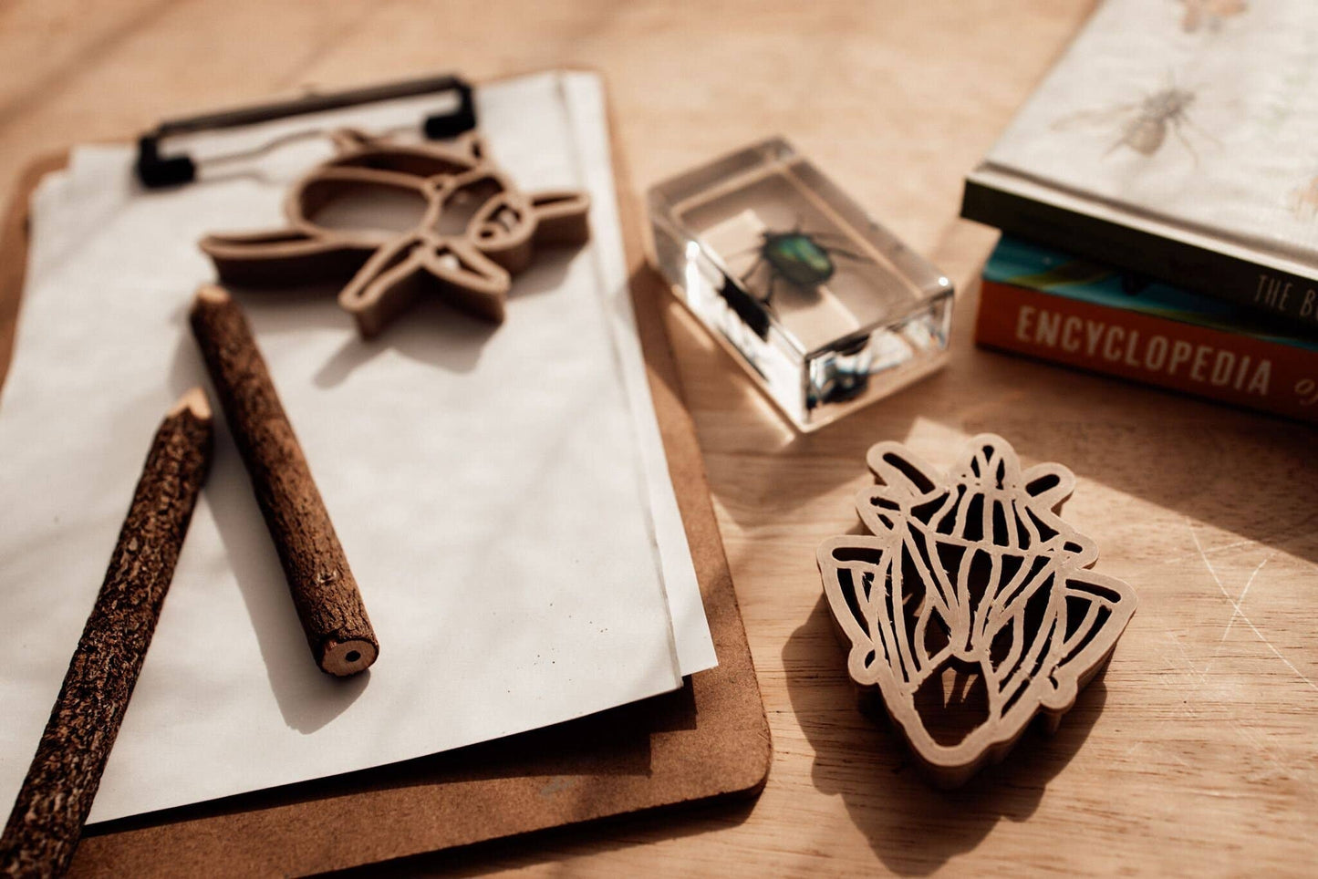 Bug Eco Cutter™ Set