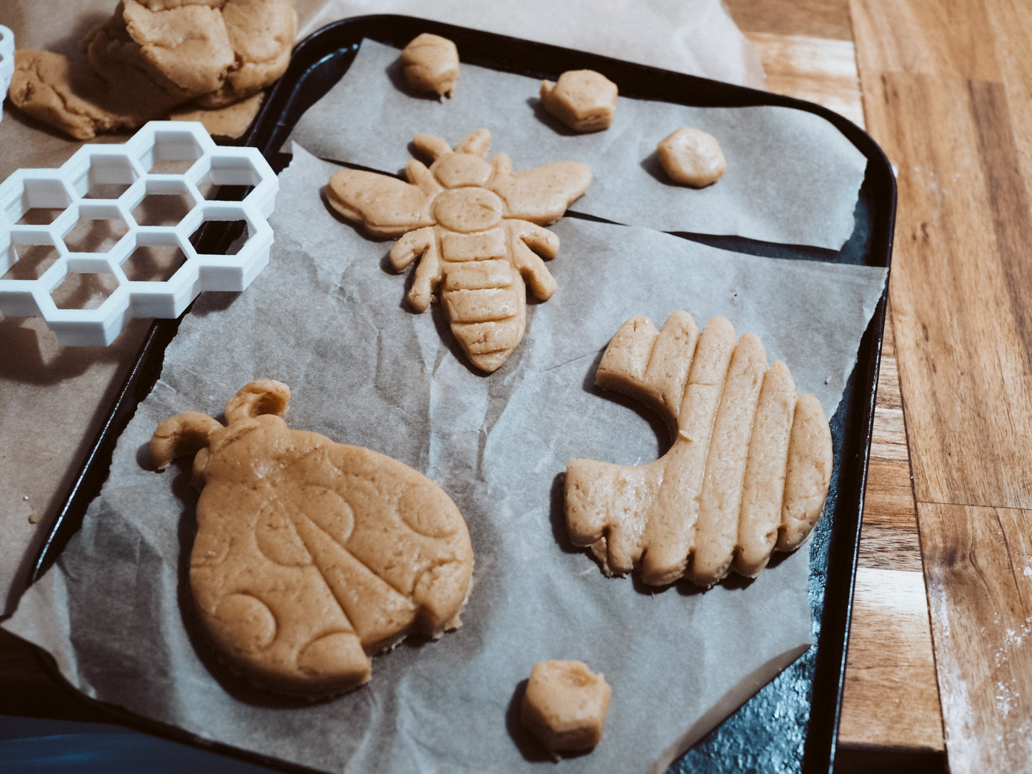 Honeycomb Bio Cutter