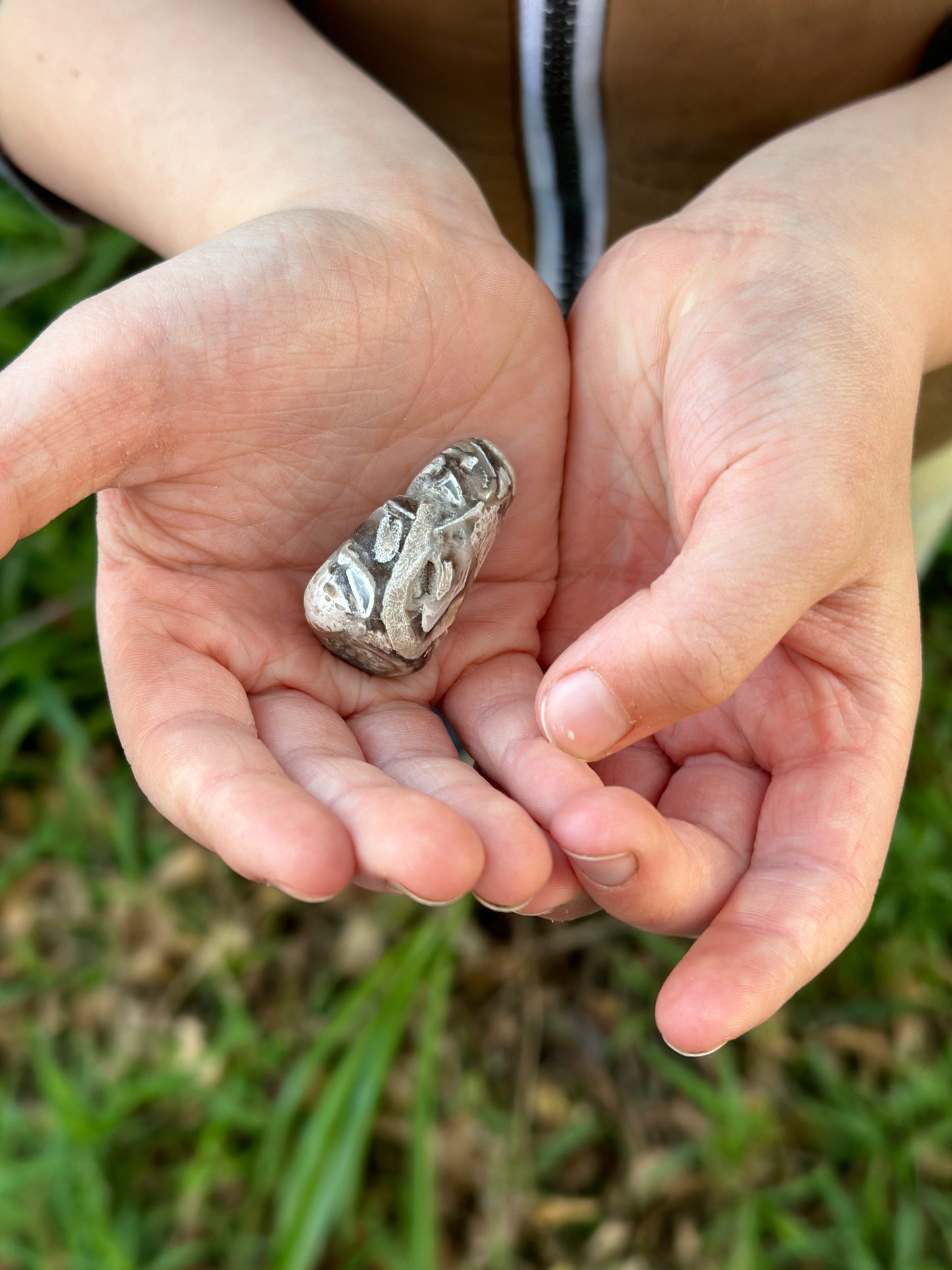 Fossil Palm Root Tumbled Gem