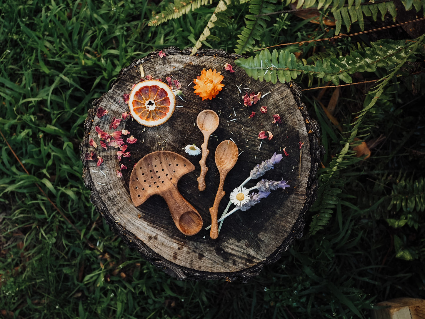Whimsical Wild Tree Tools Collection