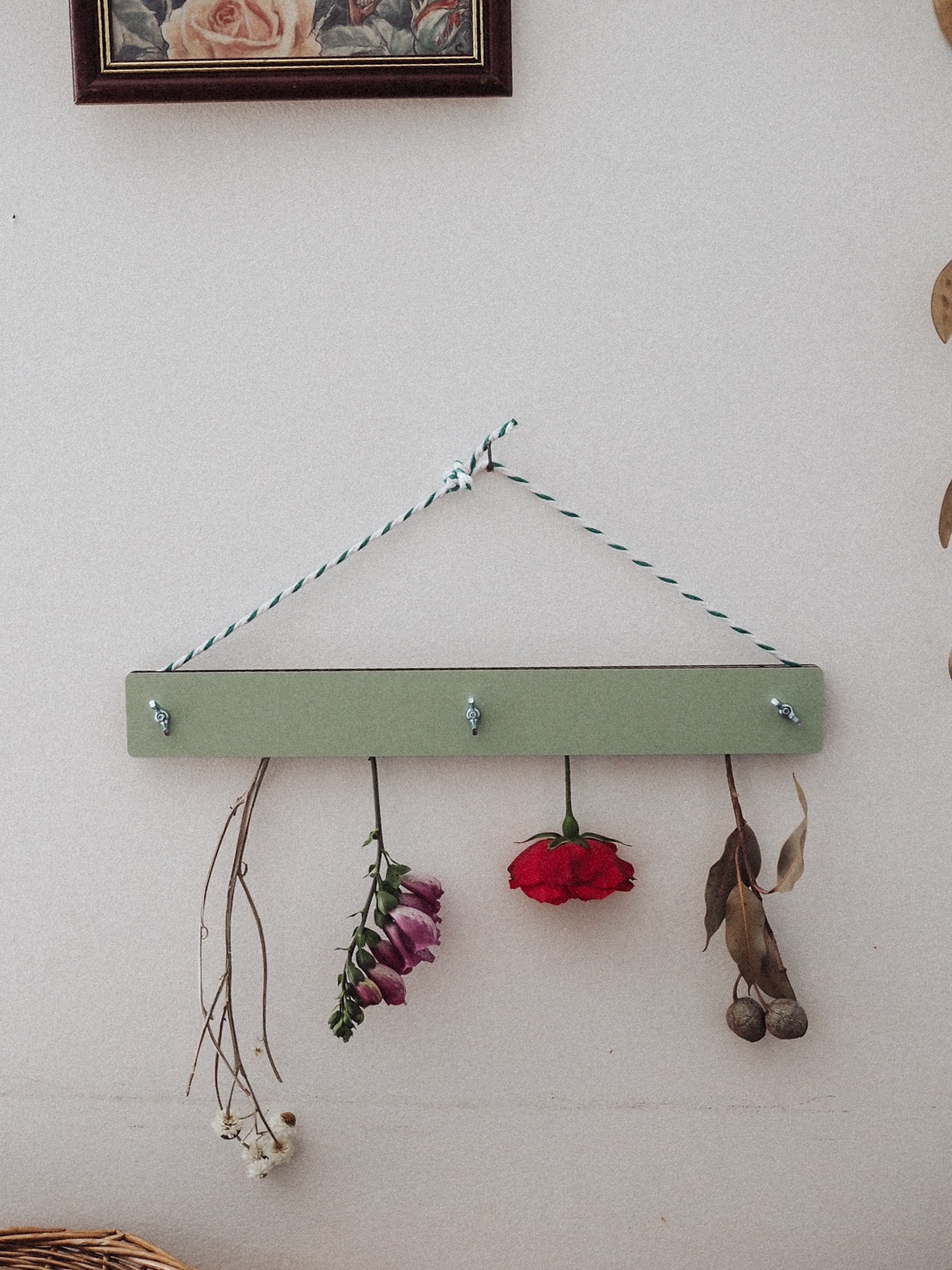 Flower Drying Kit - Green Wash