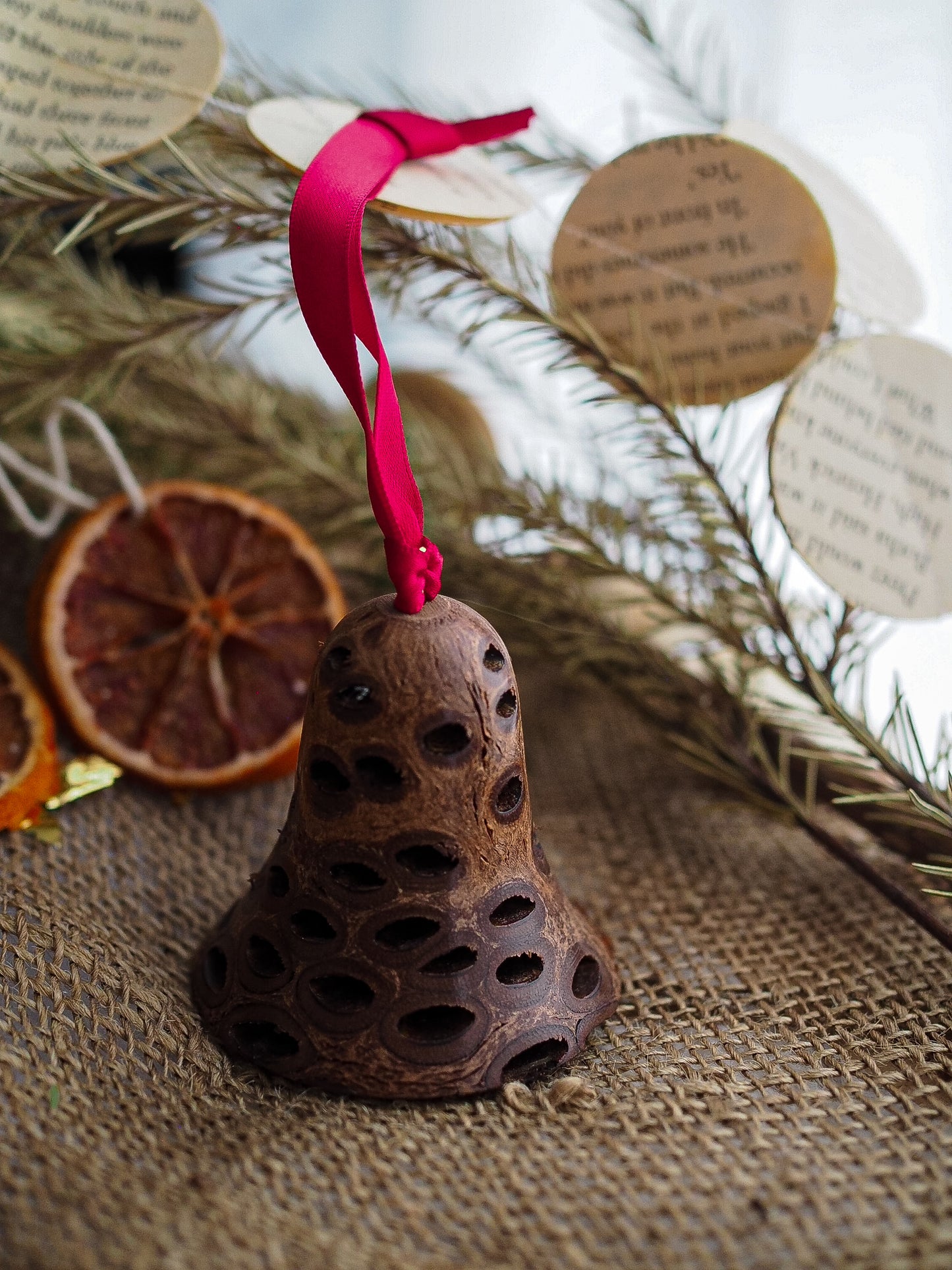 Banksia Seed Pod Christmas Tree