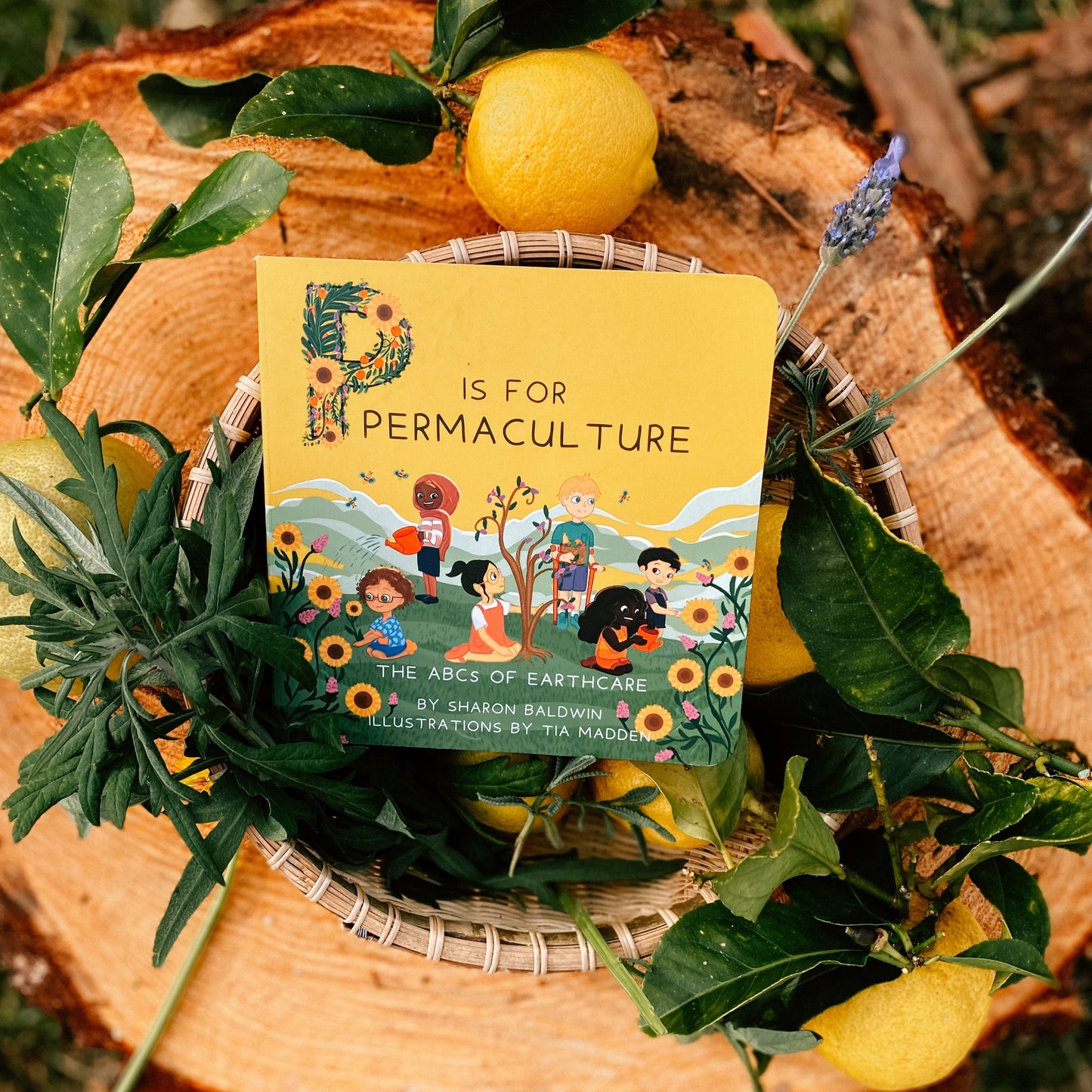 P is for Permaculture Board Book
