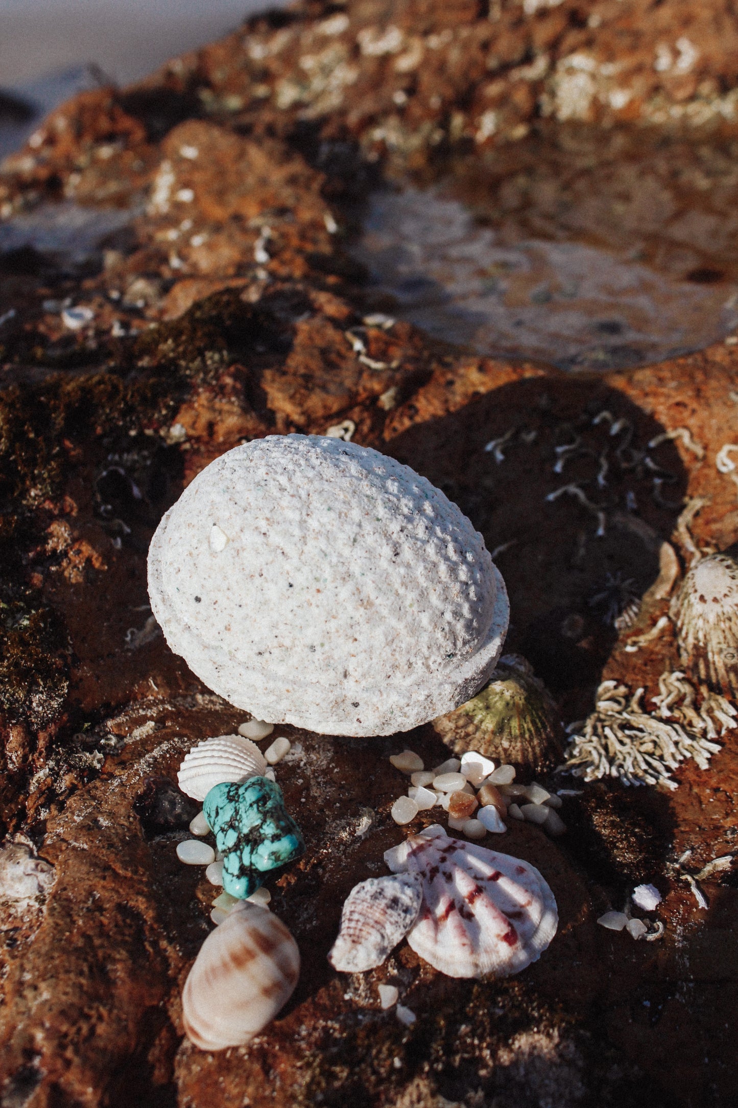 ** WHOLESALE ** Merfolk Egg LARGE