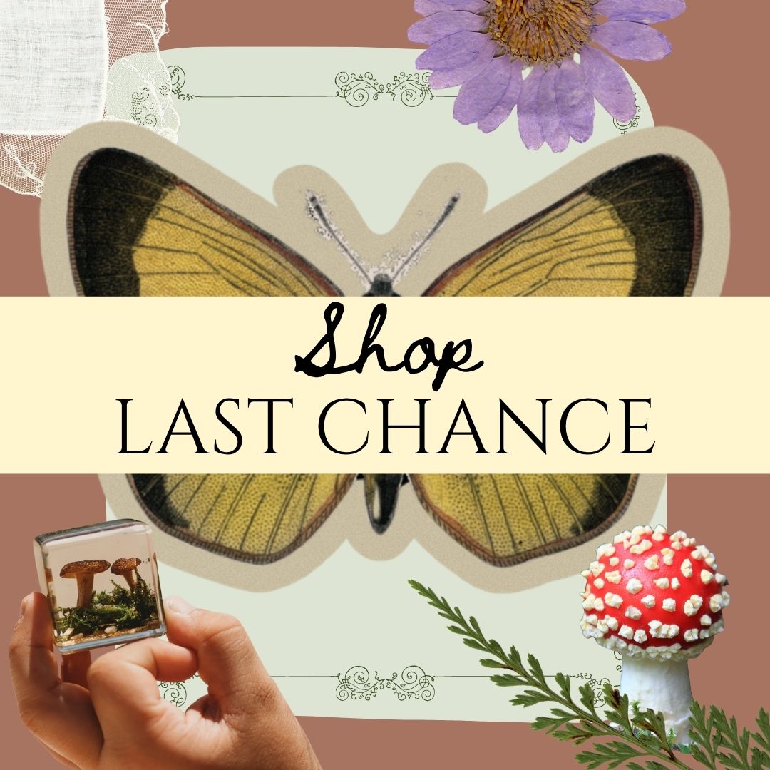 Last Chance
