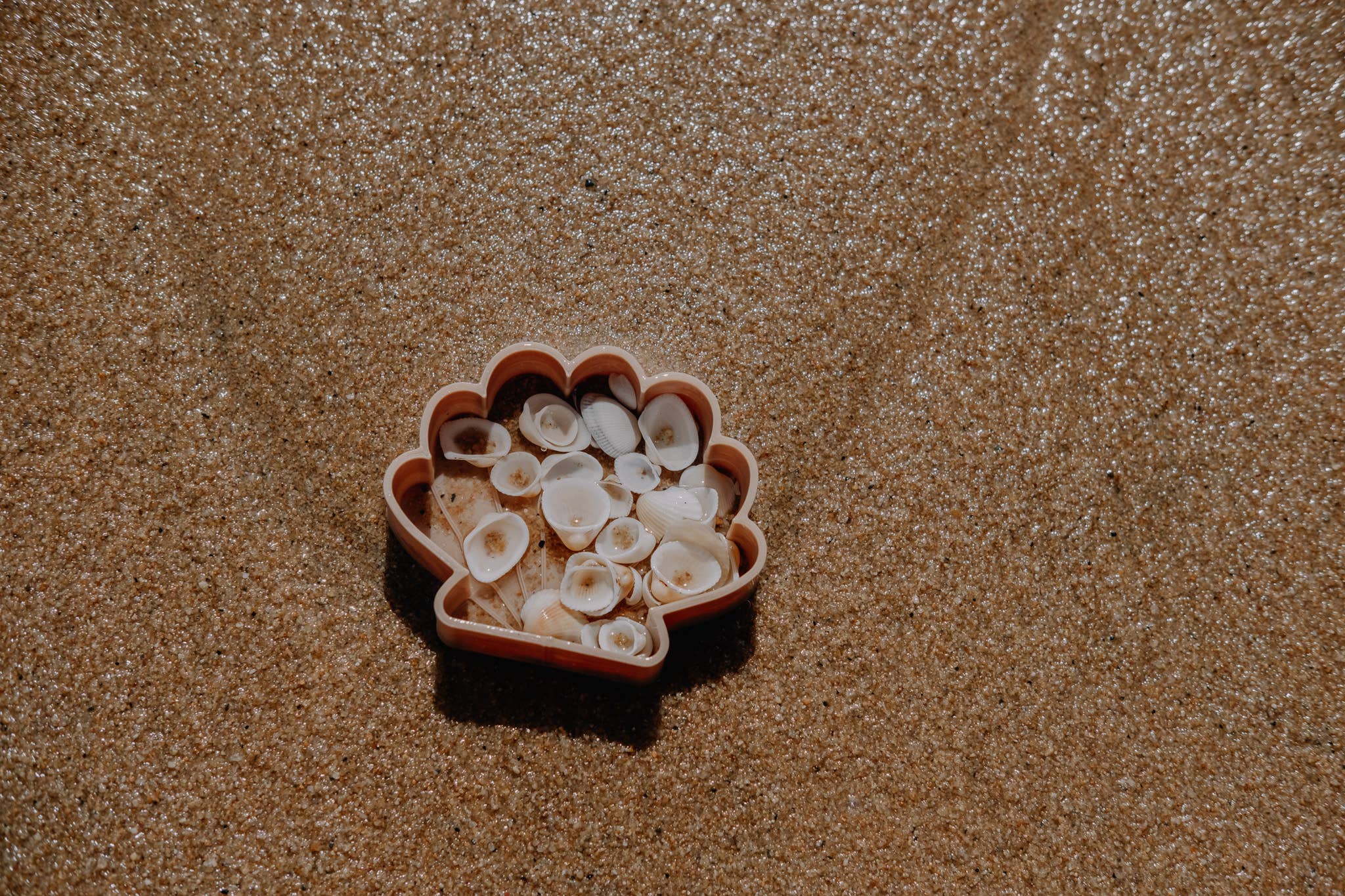 Sea Shell Eco Mould™