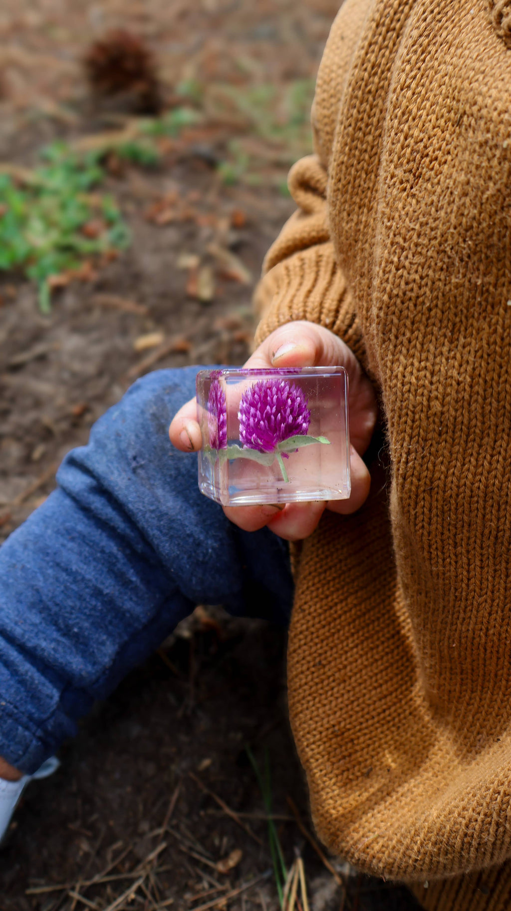 Trio of Flora Specimens