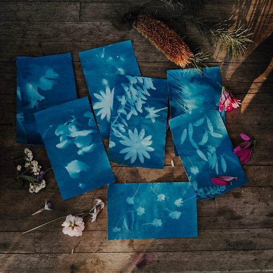 Discovery Zone Cyanotype Sun Photography