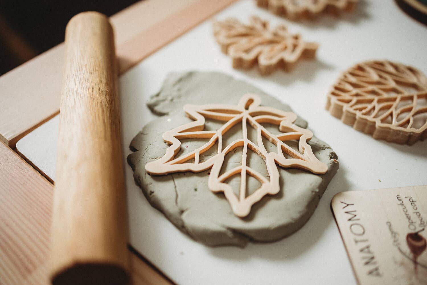 Leaf Eco Cutter™ Set