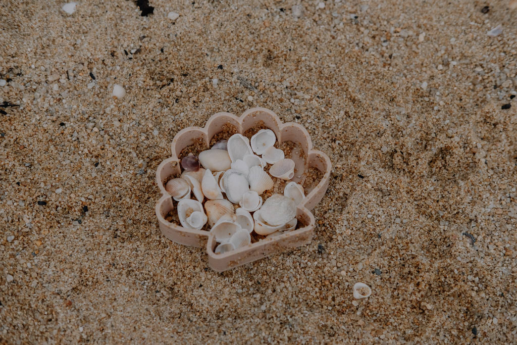 Sea Shell Eco Mould™