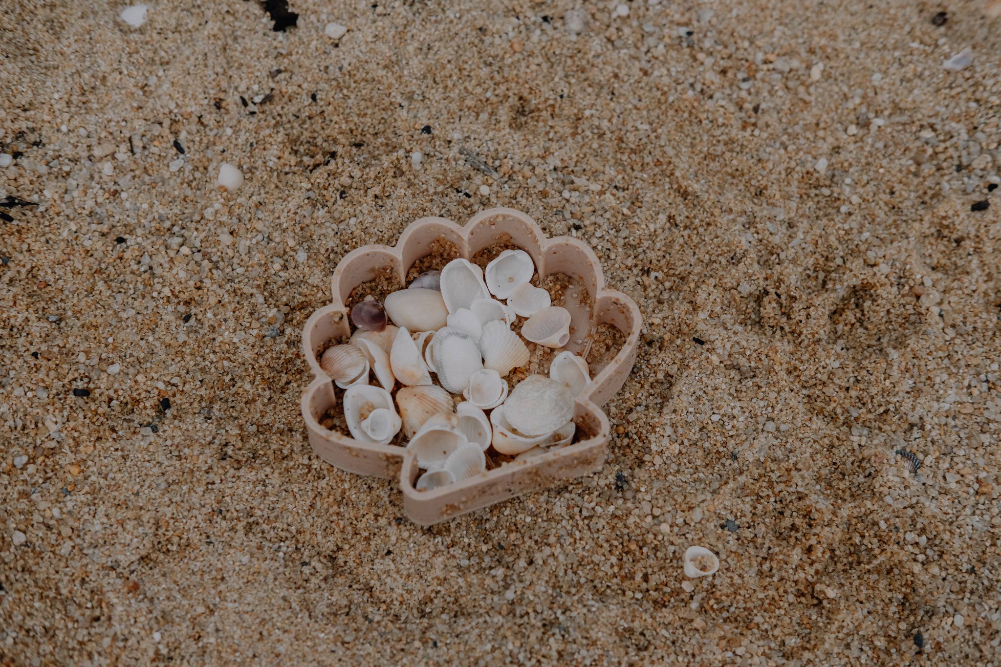 Sea Shell Eco Mould™