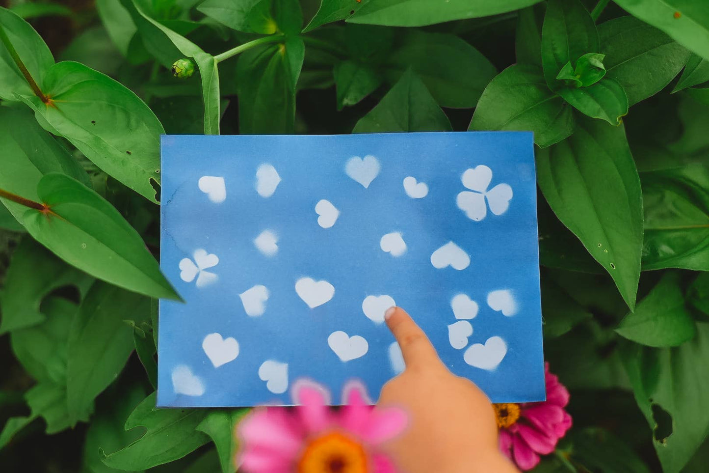 Nature Print Kit