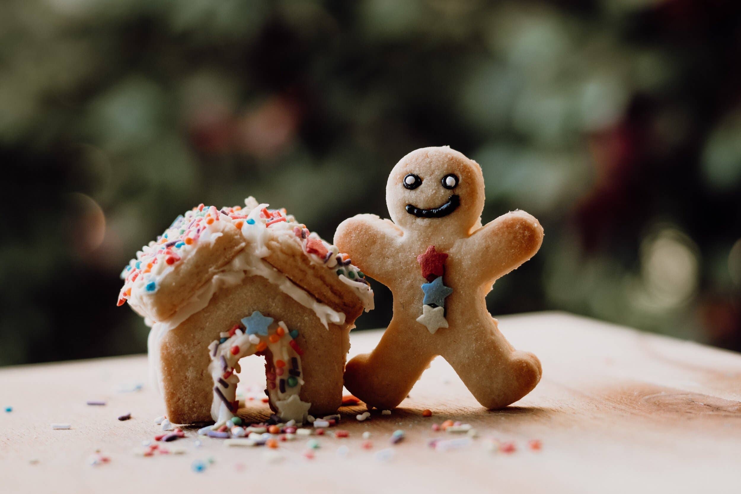 Gingerbread House Eco Cutter™ Set