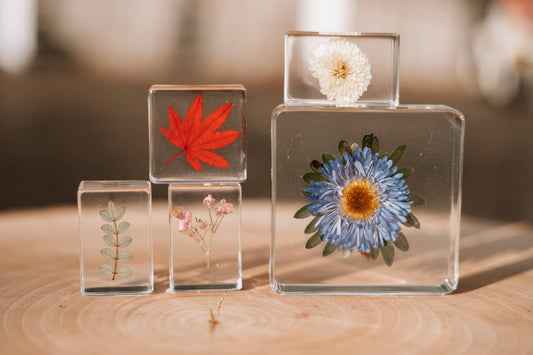 Flora Specimen Set