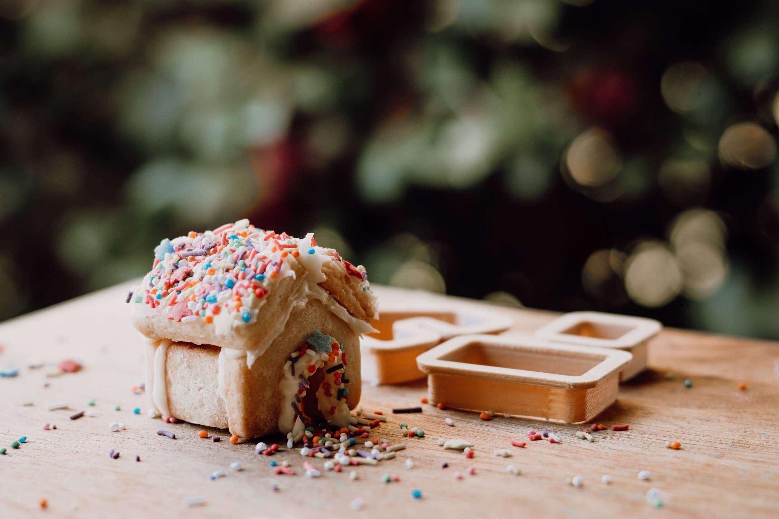 Gingerbread House Eco Cutter™ Set