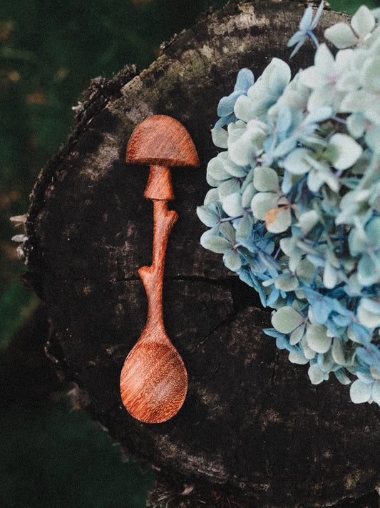 **WHOLESALE ** Pre-order end of March 2026**Moss Cap Spoon **