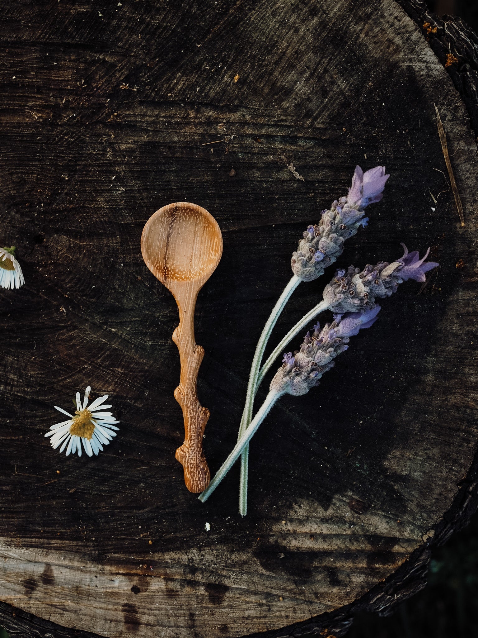 Branchling (Mini Branch Spoon)
