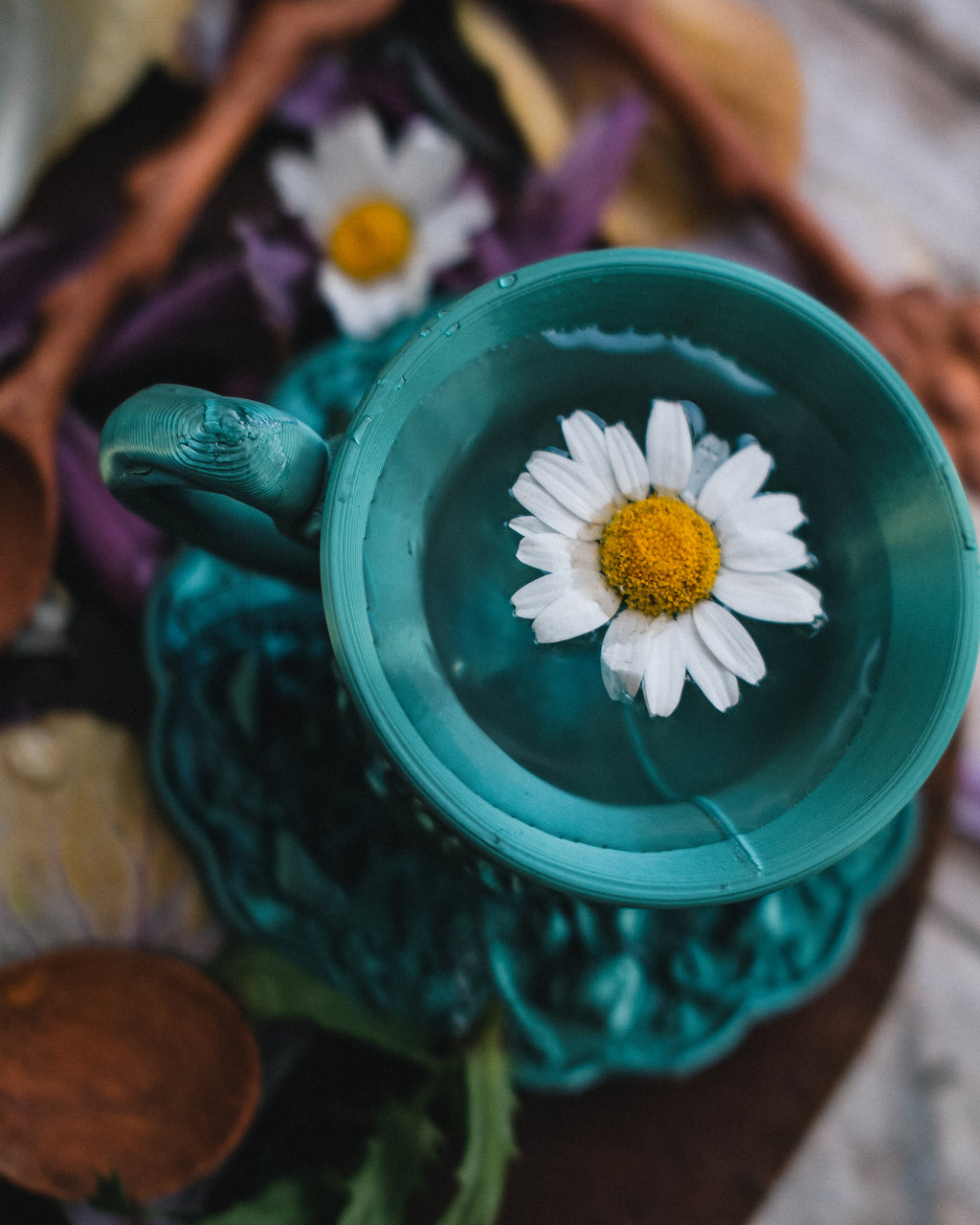 Wonderland Tea Party - Whimsy Green