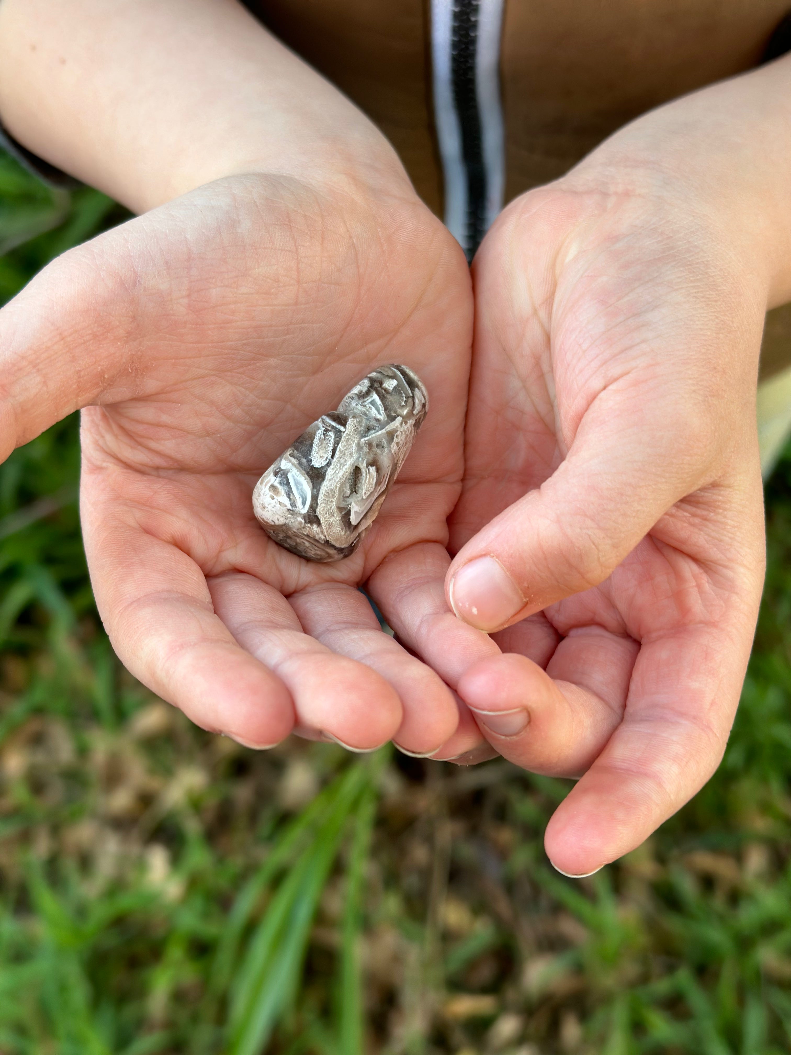 Fossil Palm Root Tumbled Gem