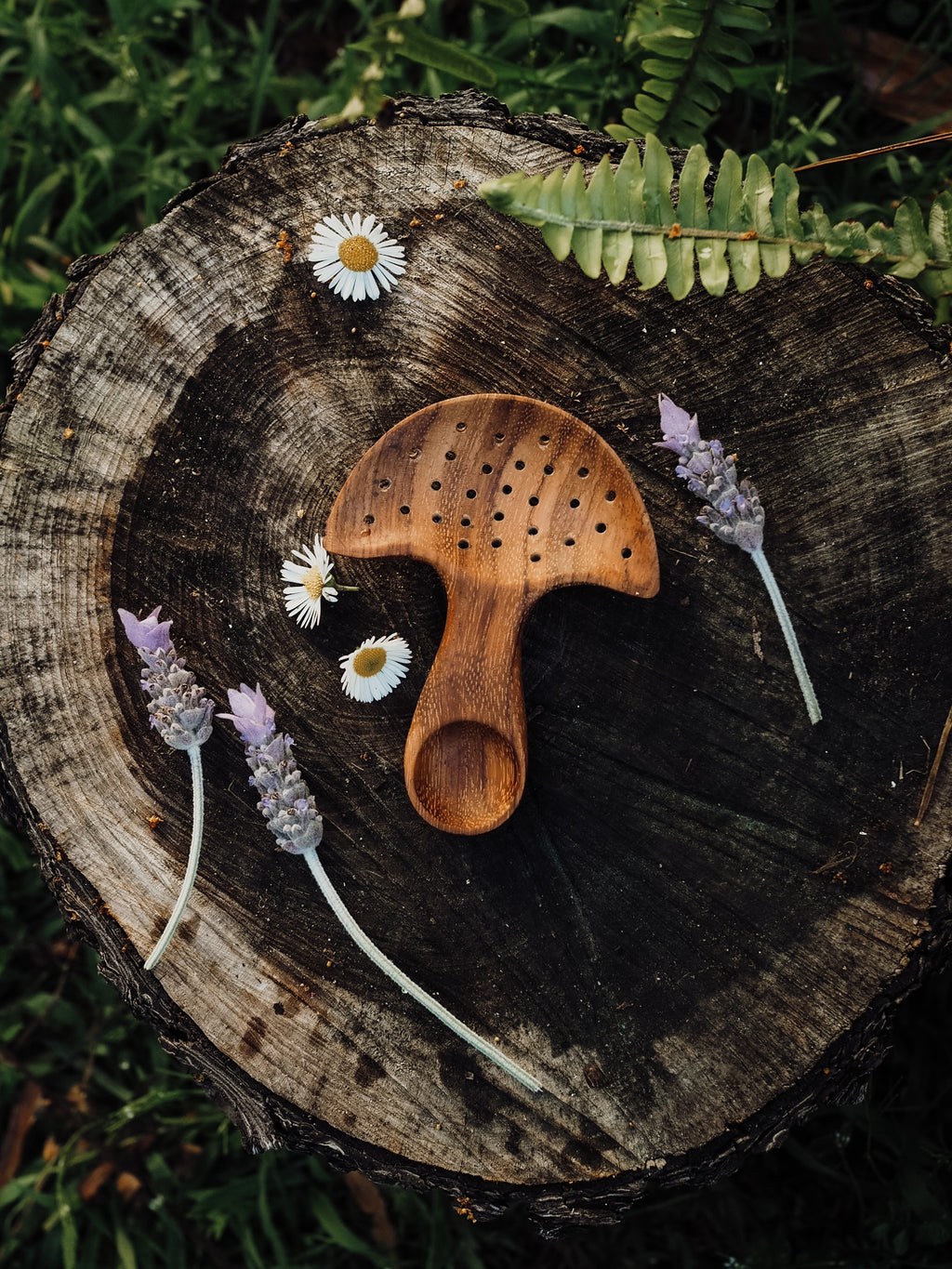 ** WHOLESALE ** Mushroom Multi Tool