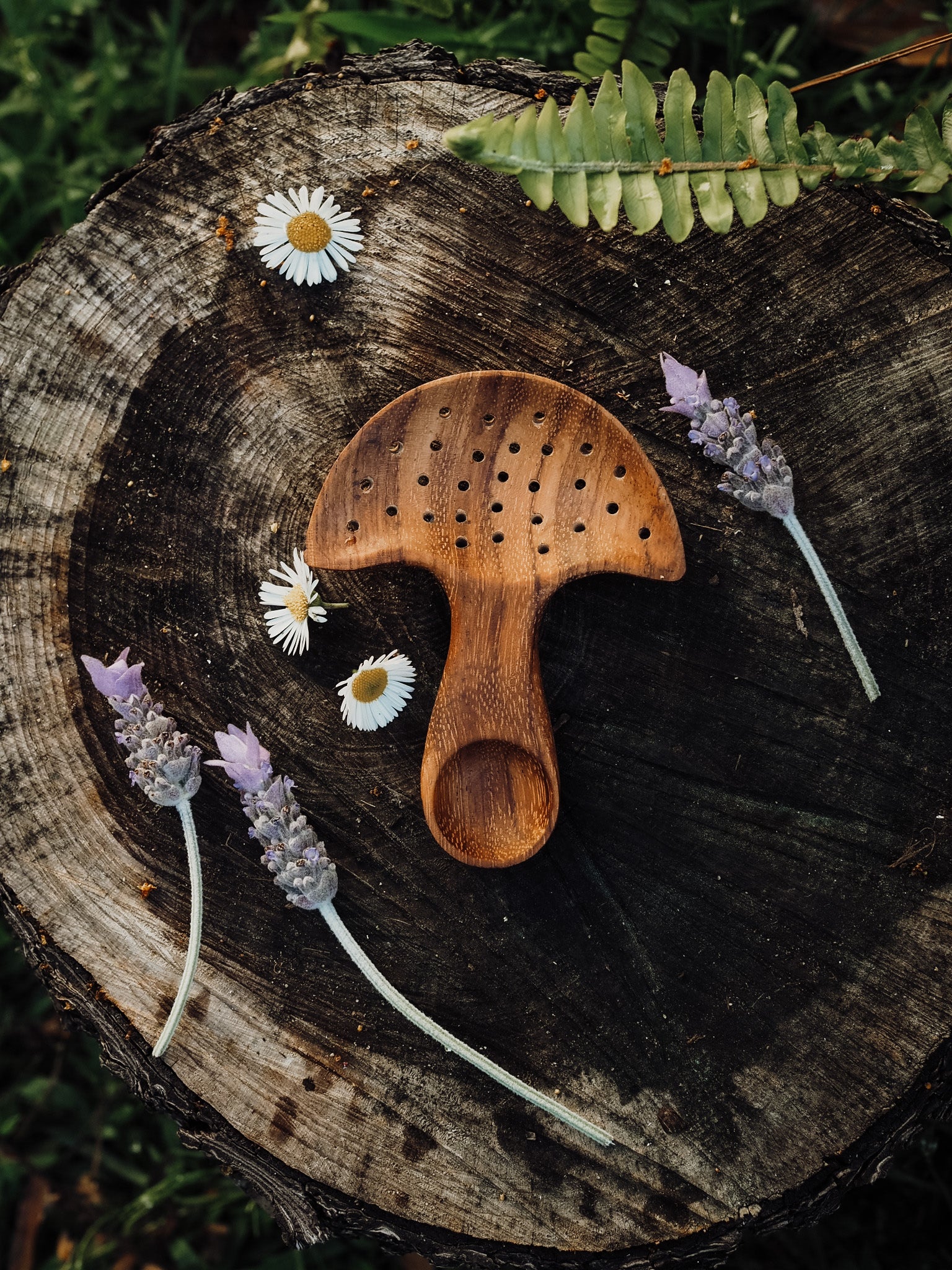 ** WHOLESALE ** Mushroom Multi Tool