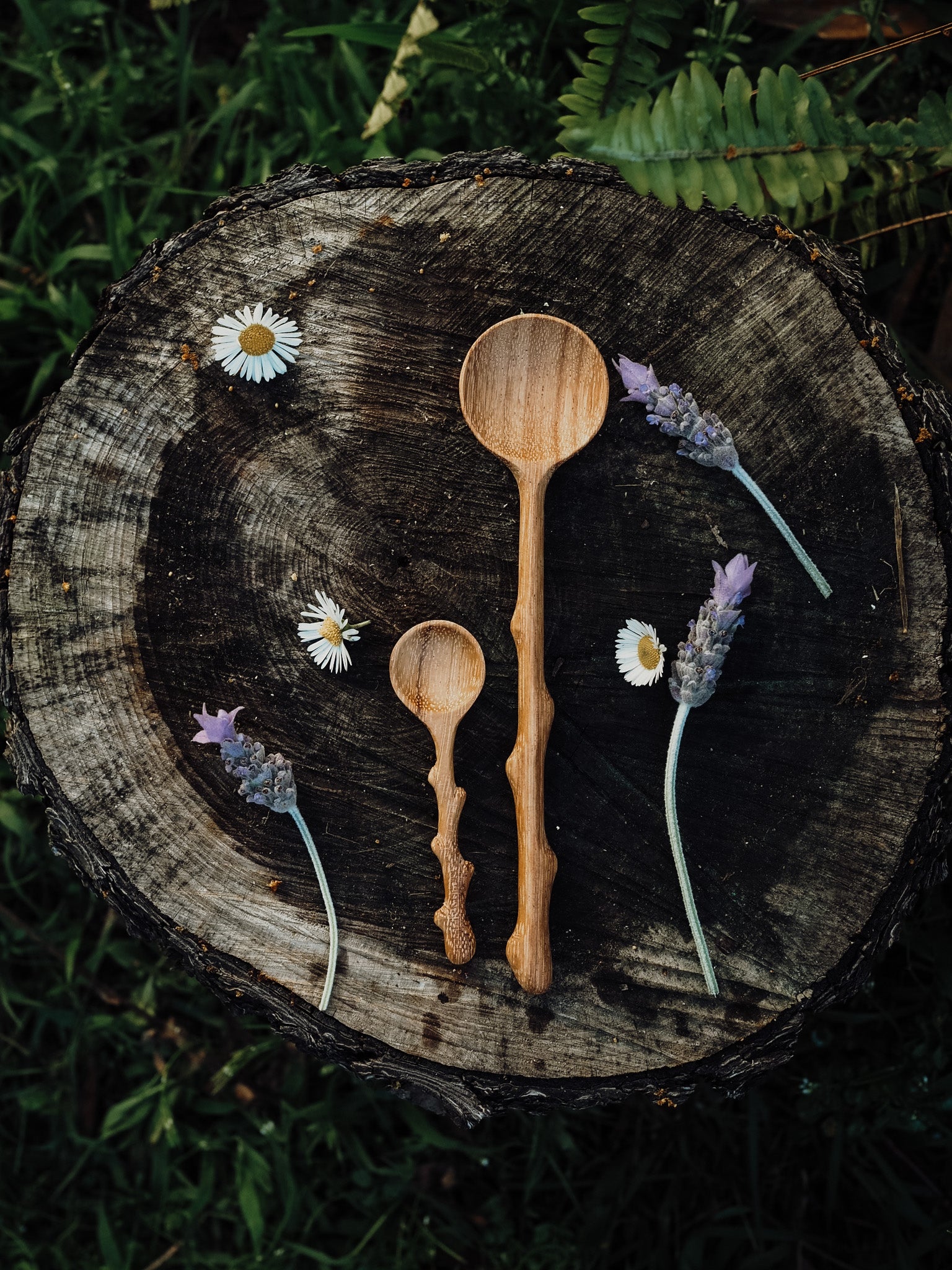**WHOLESALE ** PRE ORDER END OF July**Branchling (Mini Branch Spoon)