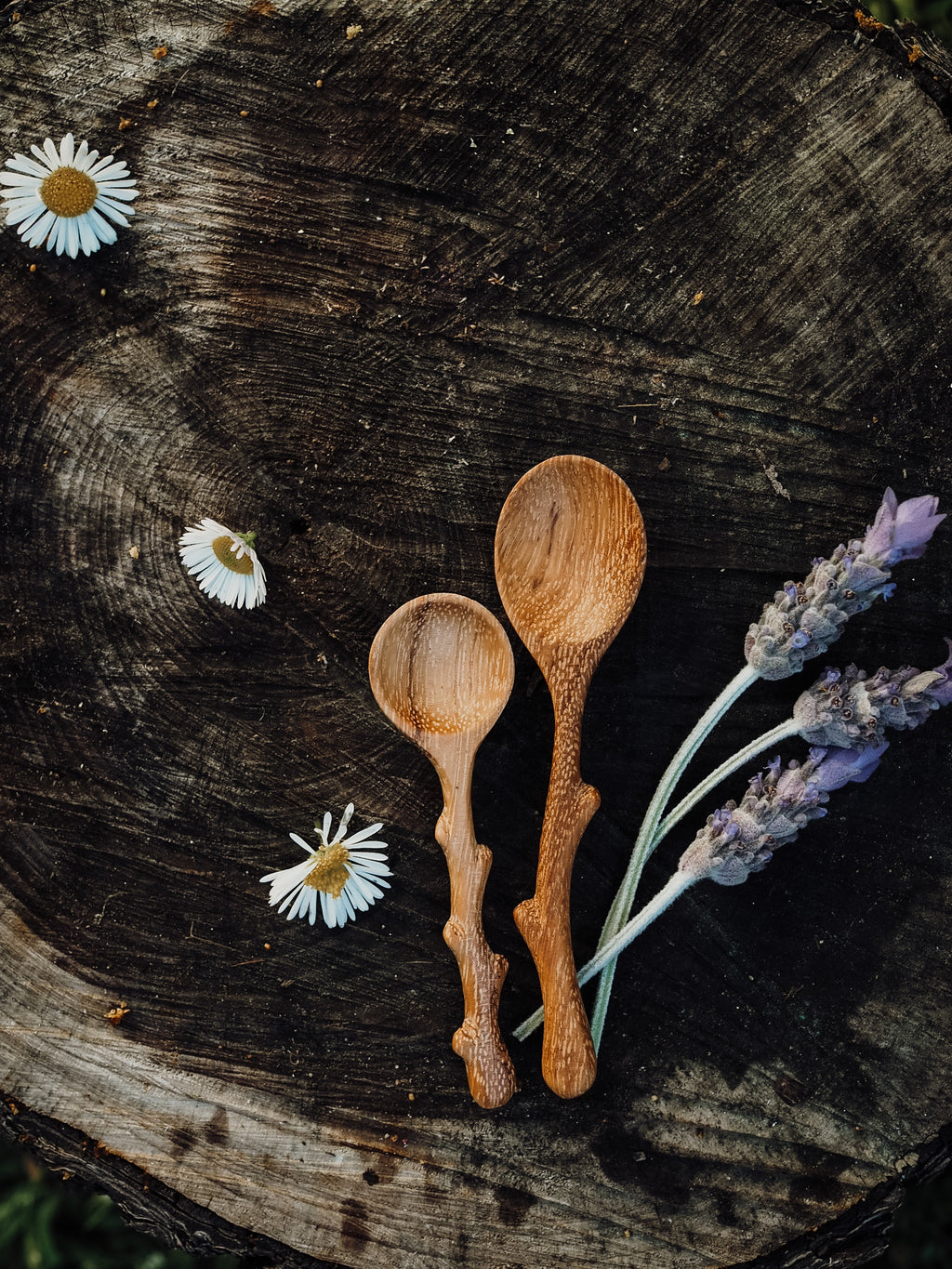 Whimsical Wild Tree Tools Collection