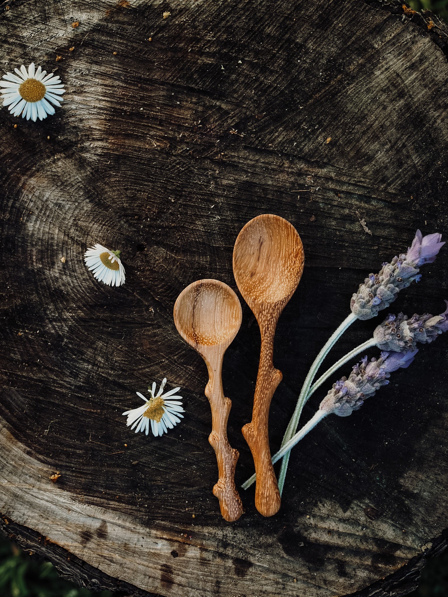 Whimsical Wild Tree Tools Collection