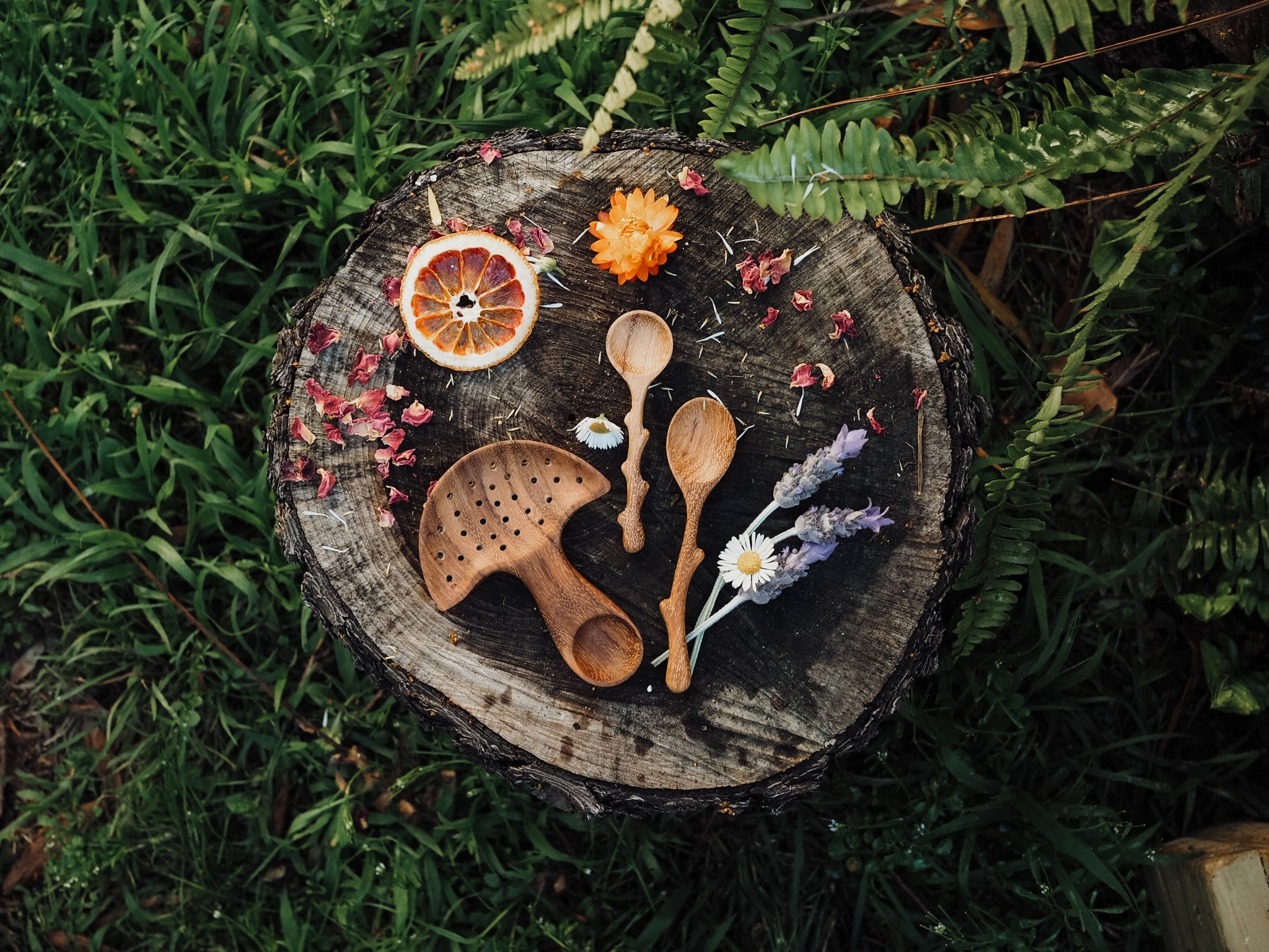 ** WHOLESALE ** Mushroom Multi Tool