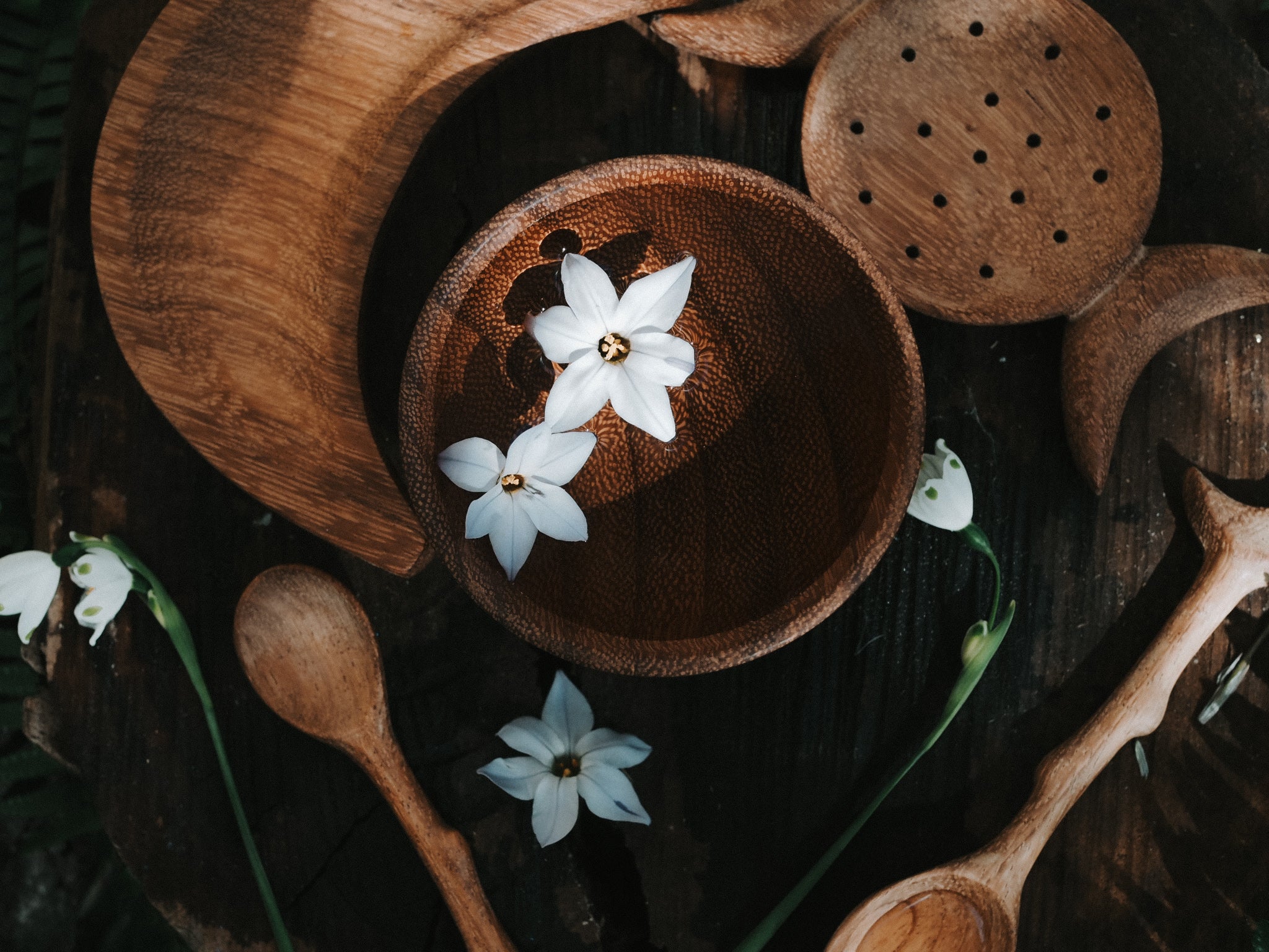 Moon Garden Bundle