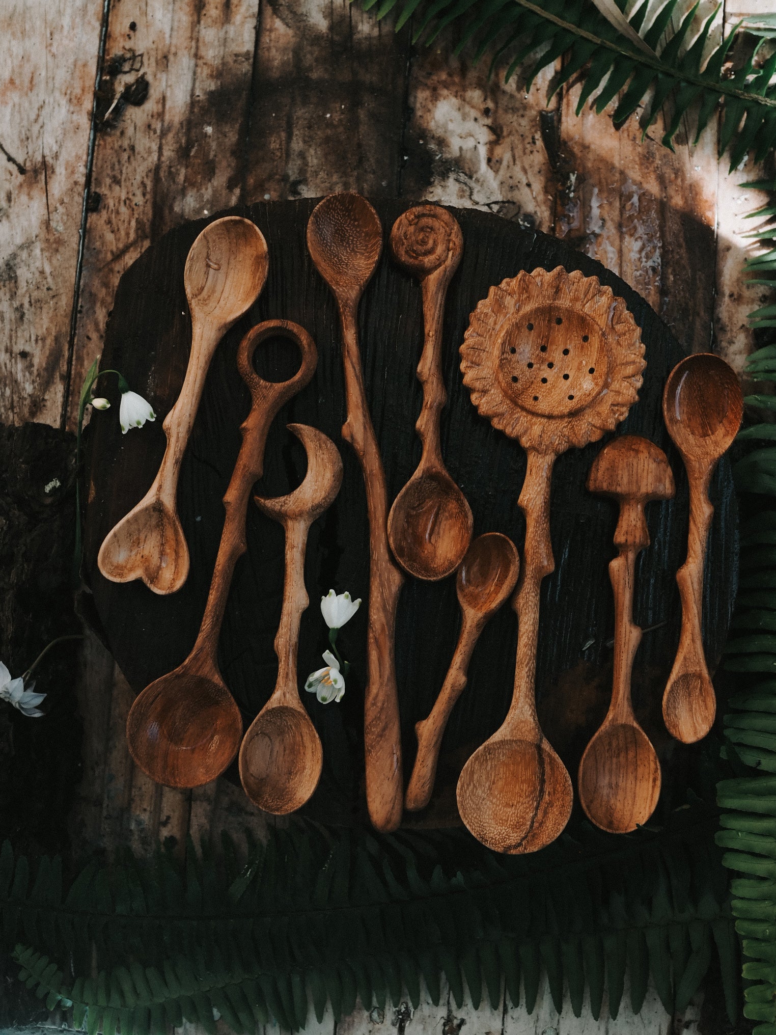 Spoons of the Forest Bundle
