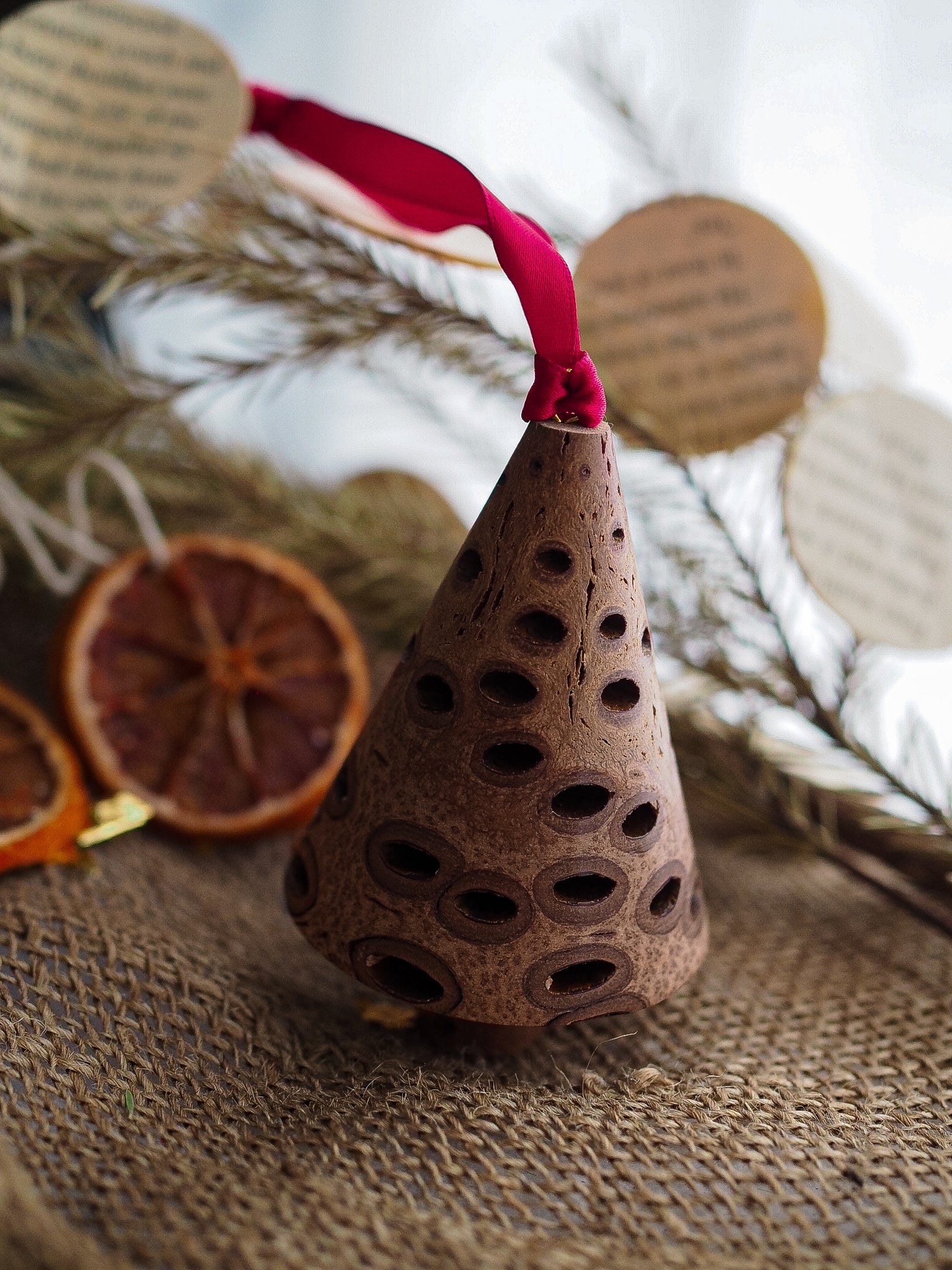 Banksia Seed Pod Christmas Tree
