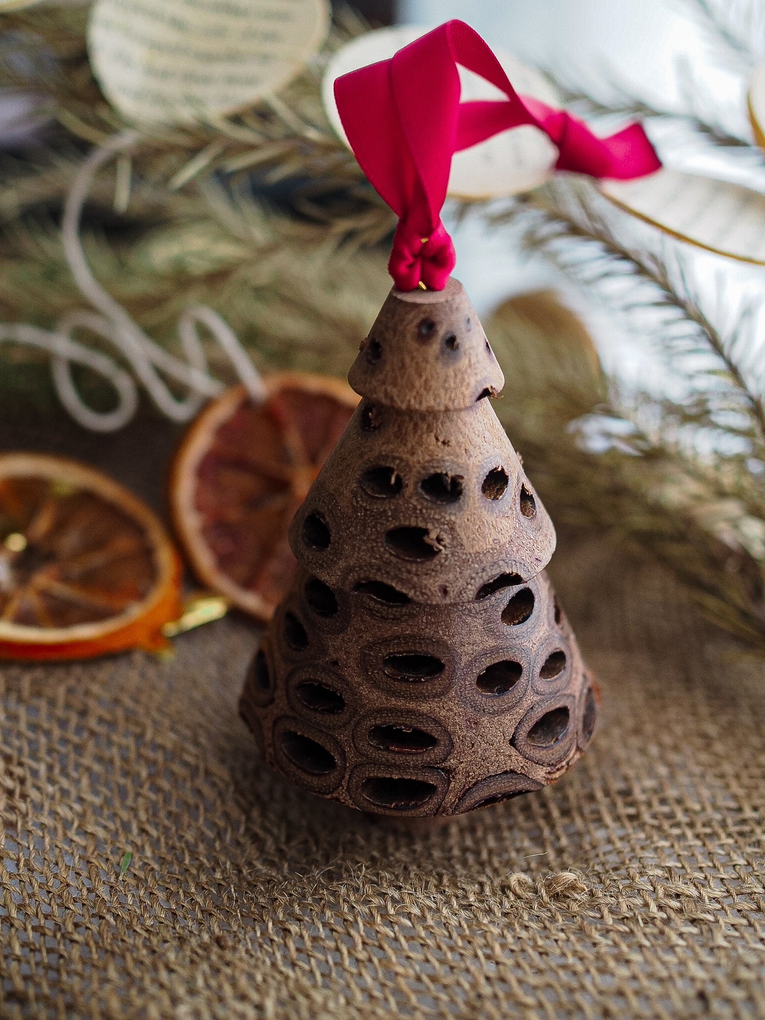Banksia Seed Pod Christmas Tree