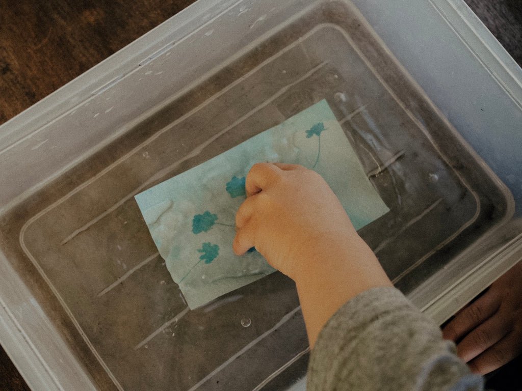 Discovery Zone Cyanotype Sun Photography
