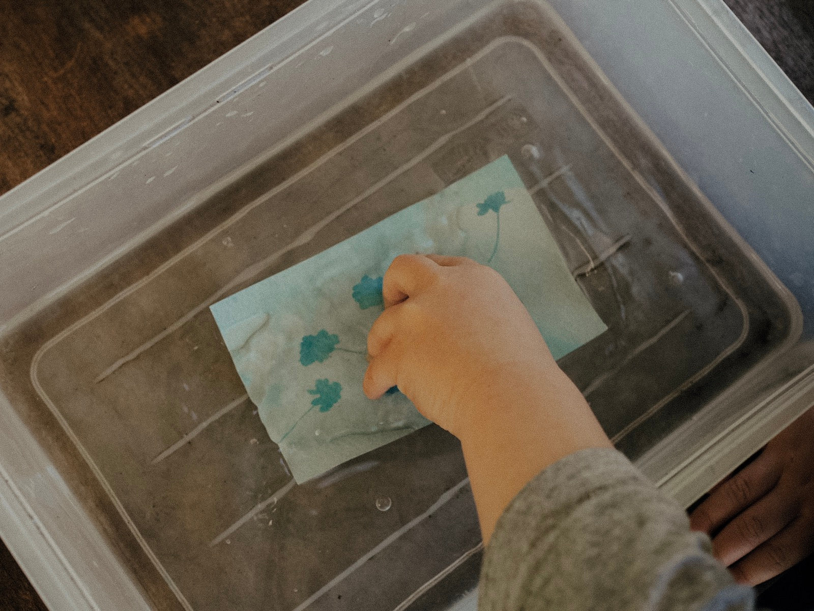 Discovery Zone Cyanotype Sun Photography