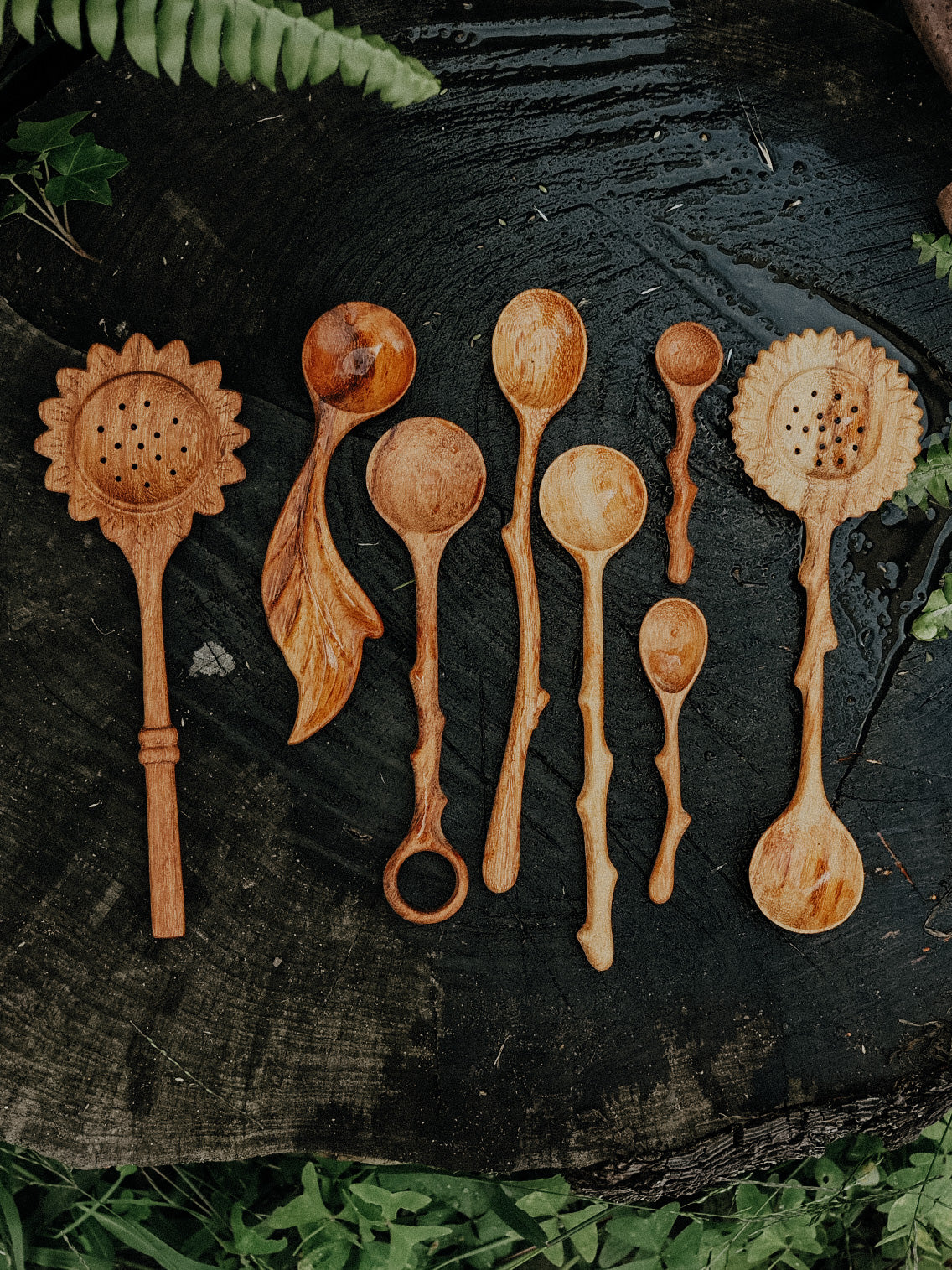Nature Spoon Wild Tree Tools BUNDLE