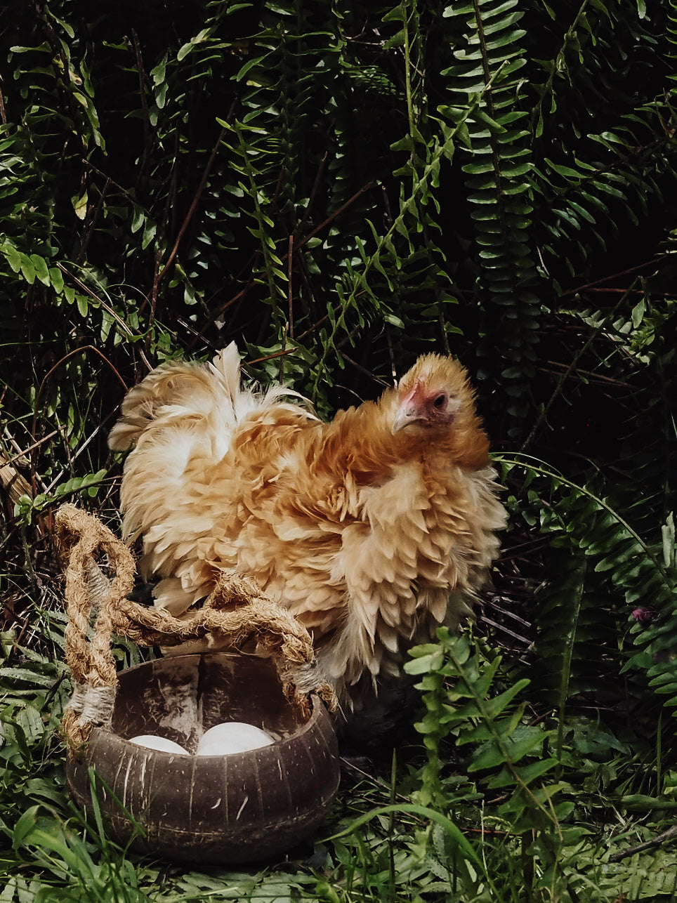 Easter Egg Hunting Set