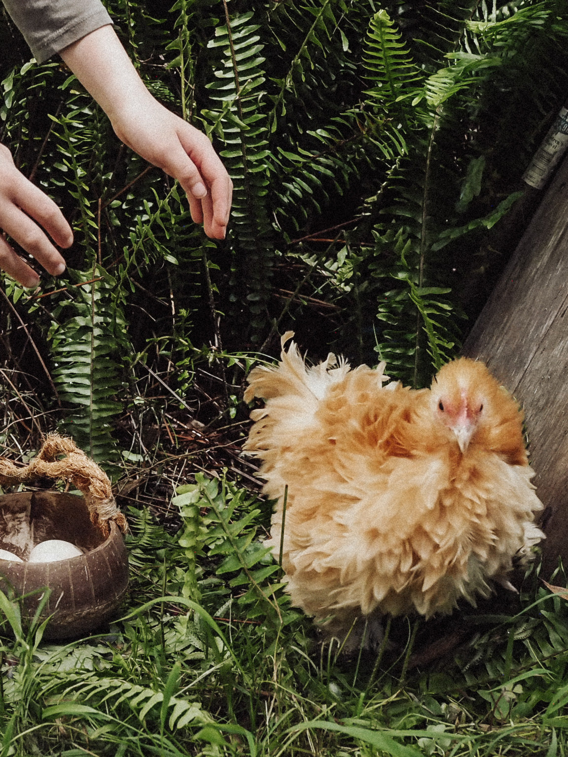 Easter Egg Hunting Set