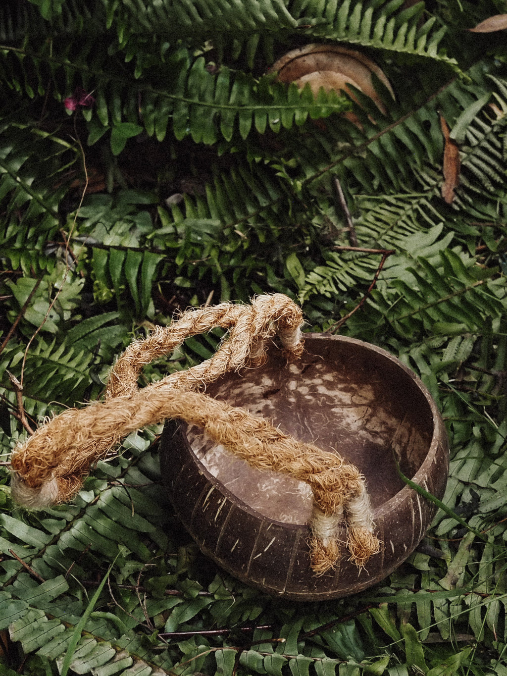 Coco Basket