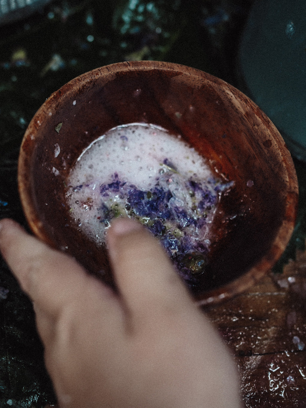 Magical Blue Mallow Flowers