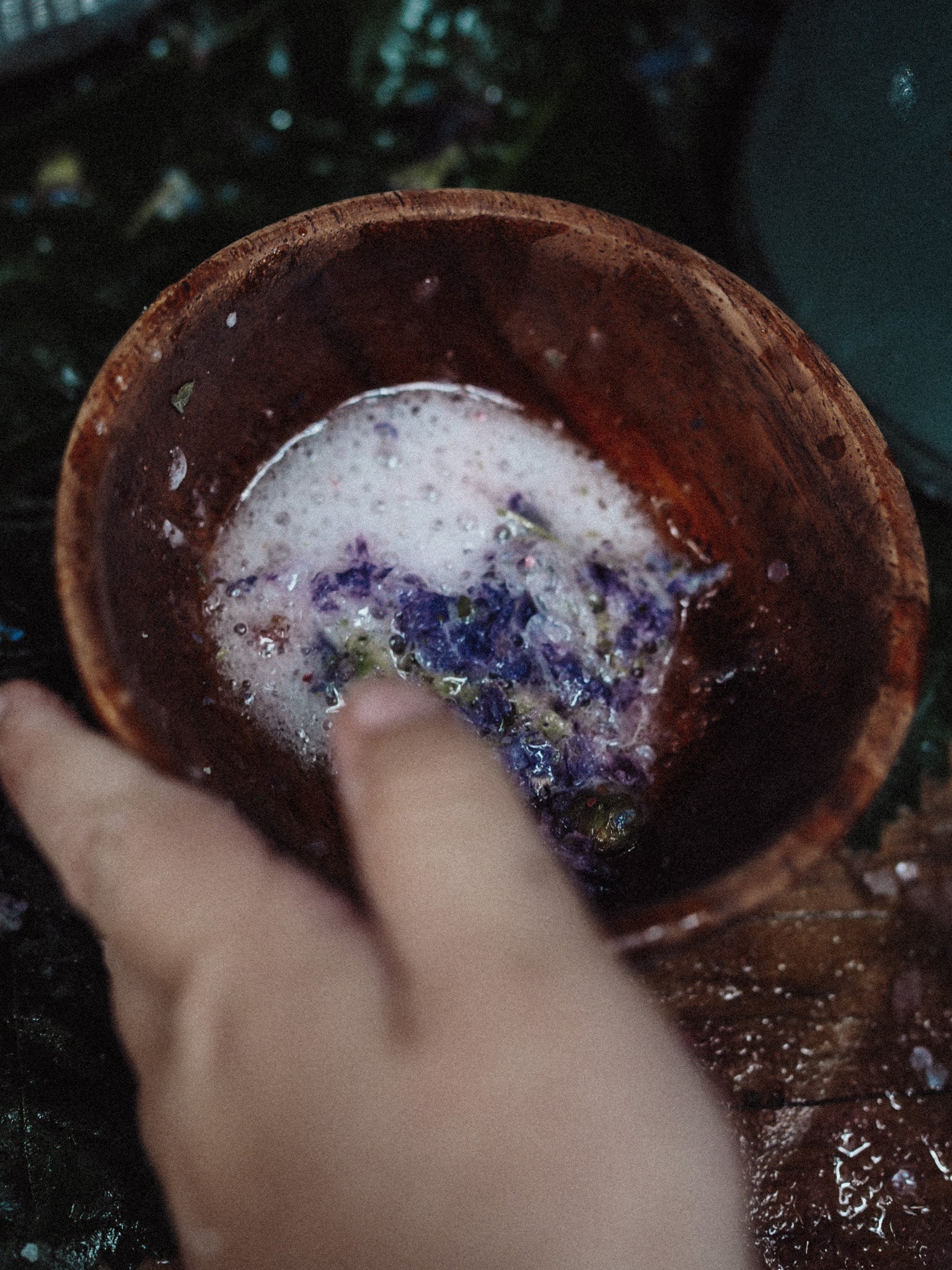 Magical Blue Mallow Flowers