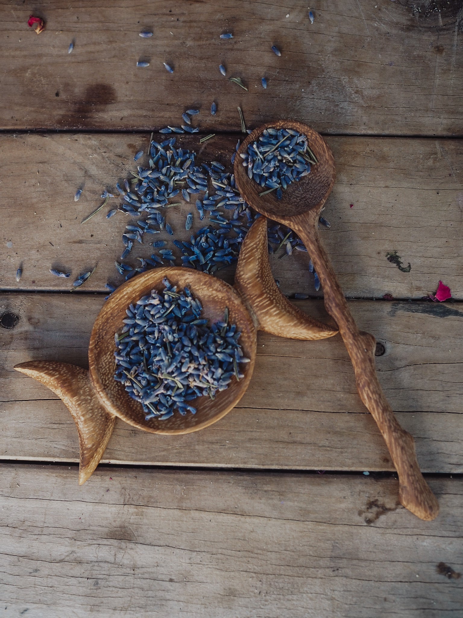 Dried Organic Lavender flowers