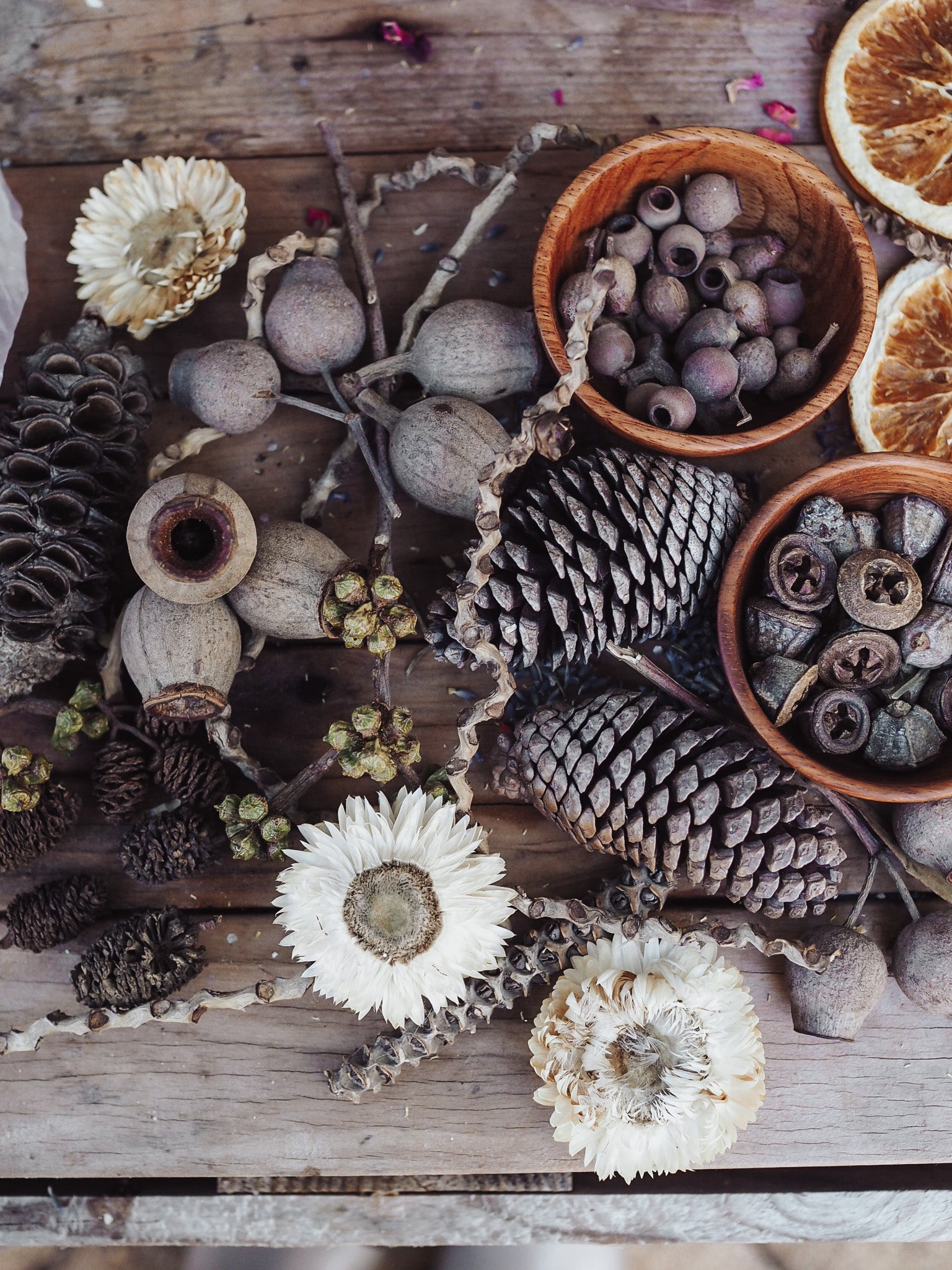 Mixed seasonal seed pod Pack