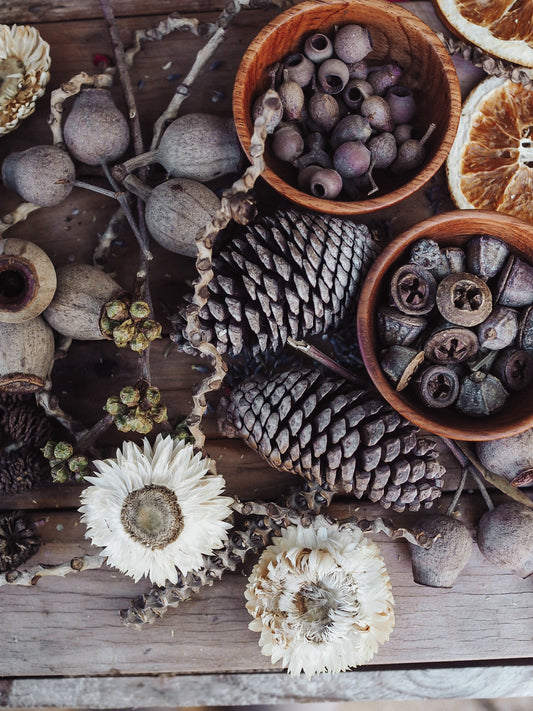 Mixed seasonal seed pod Pack