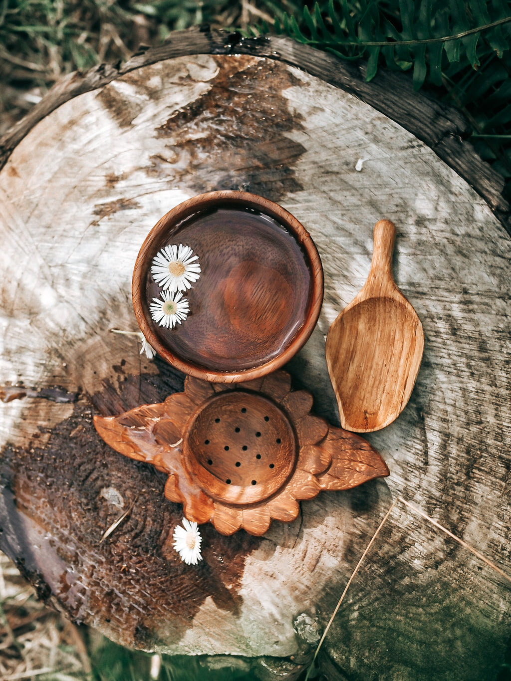 Wild Flower Wild Tree Tools BUNDLE