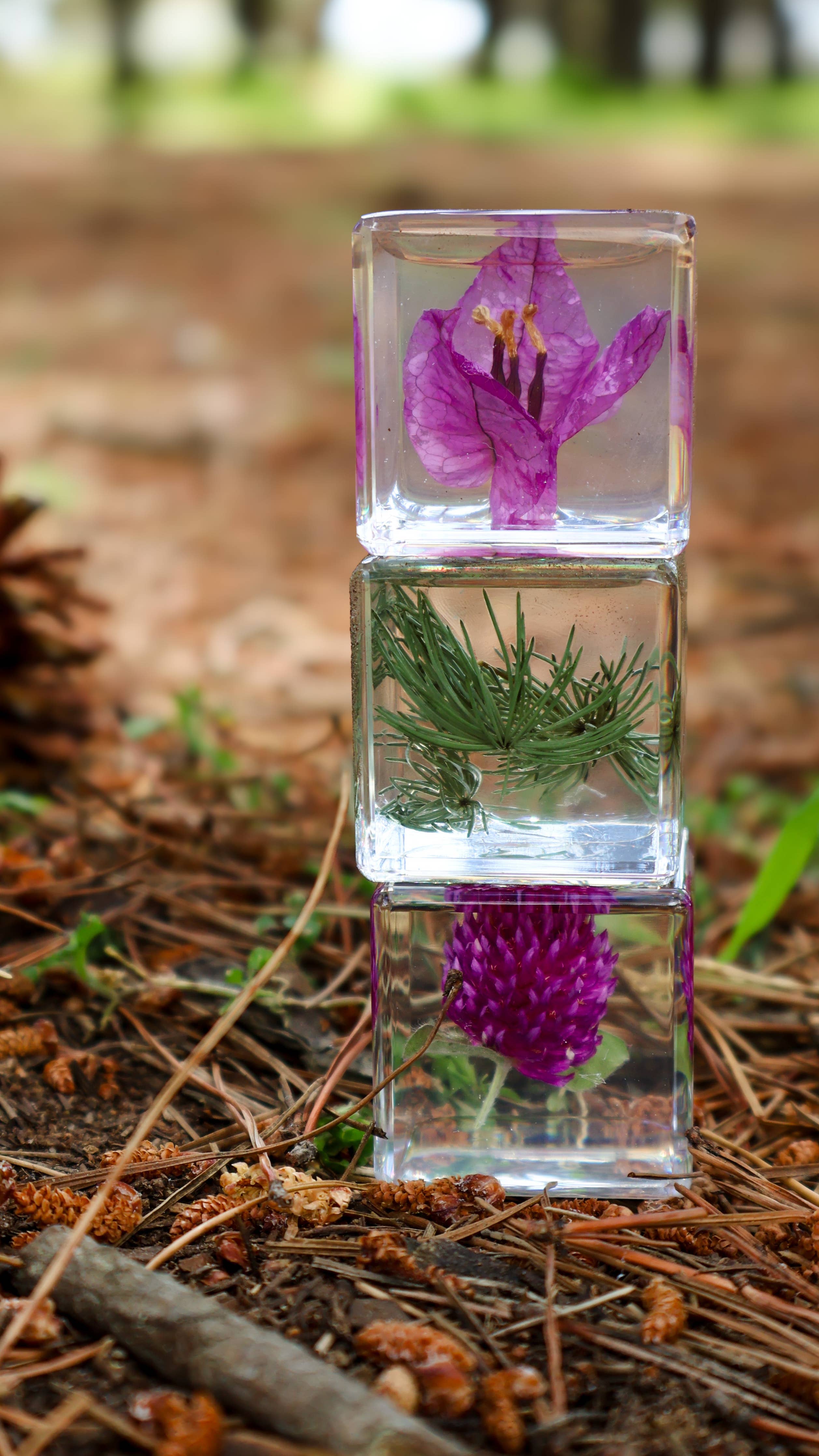 Trio of Flora Specimens