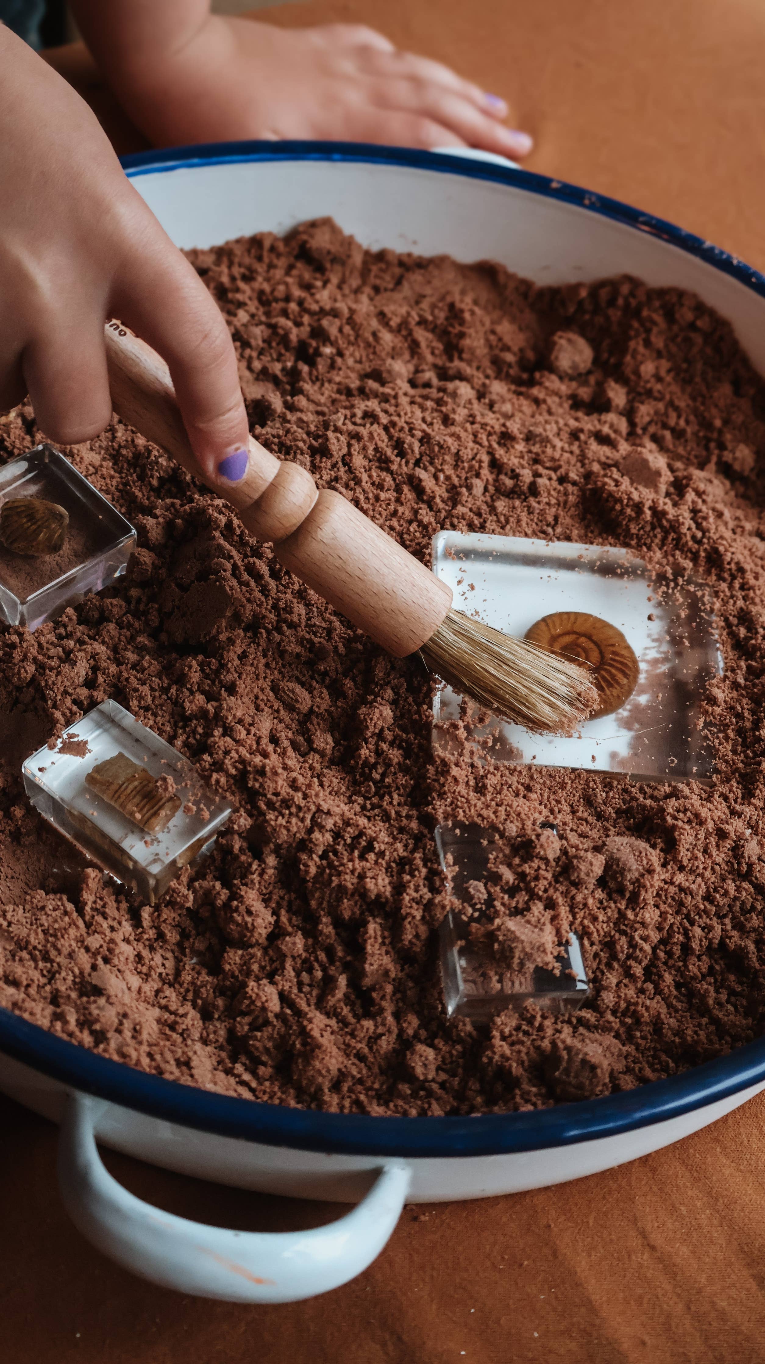 Wooden  Discovery Brush