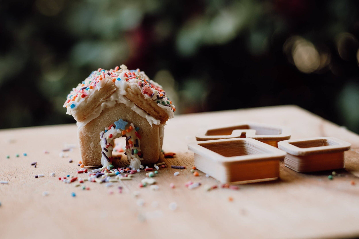 Gingerbread House Eco Cutter™ Set